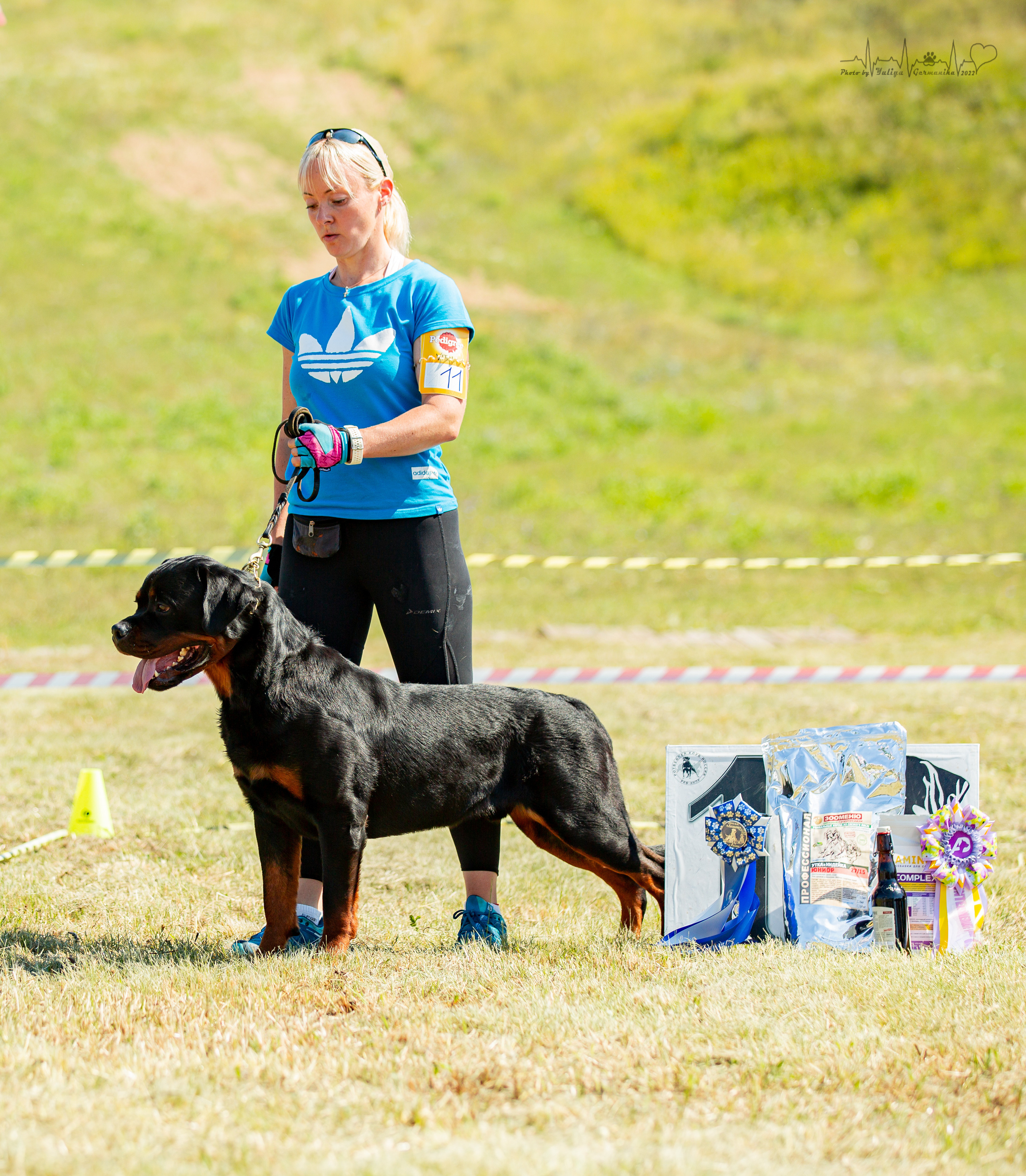 Рязань моно ротвейлеров 13.08.2022. Фотограф-анималист Юлия Германика