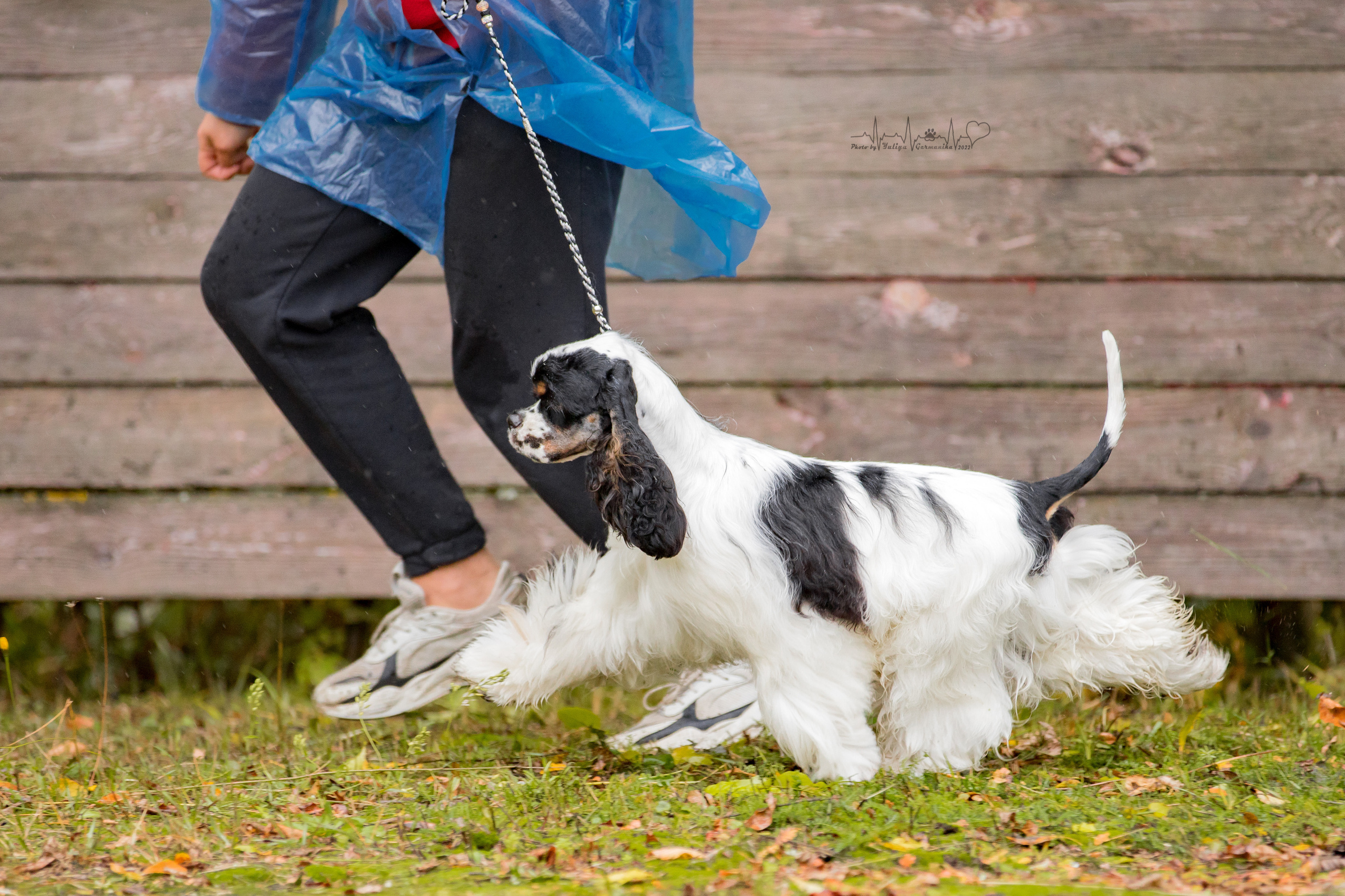 Александров 24.09.2022. Фотограф-анималист Юлия Германика