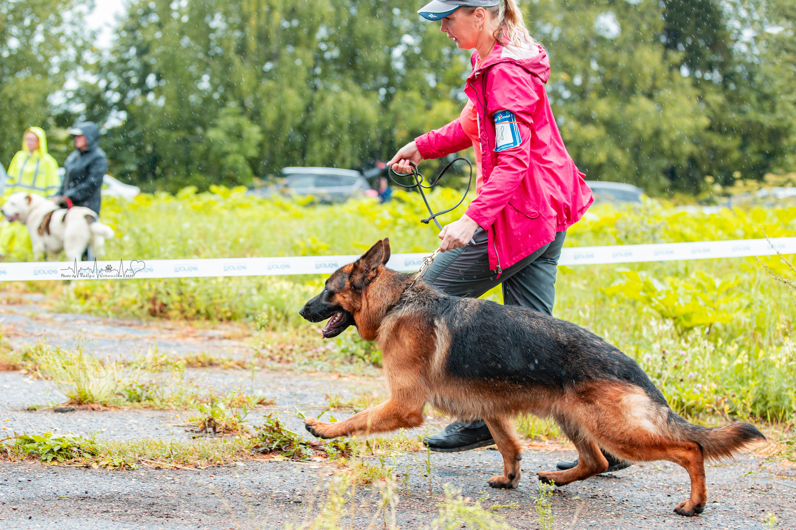 Ховрино 31.07,Чайна-Таун 6.08,Тверь 7.08. Фотограф-анималист Юлия Германика