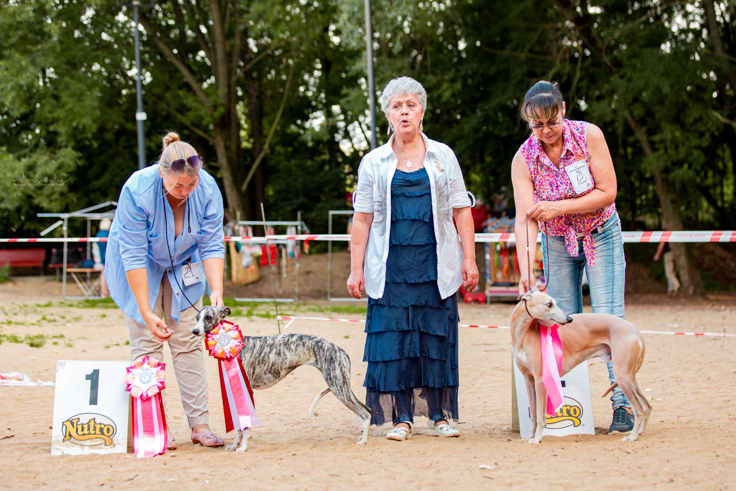 Ховрино фестиваль монопородок 14.08.2022. Фотограф-анималист Юлия Германика