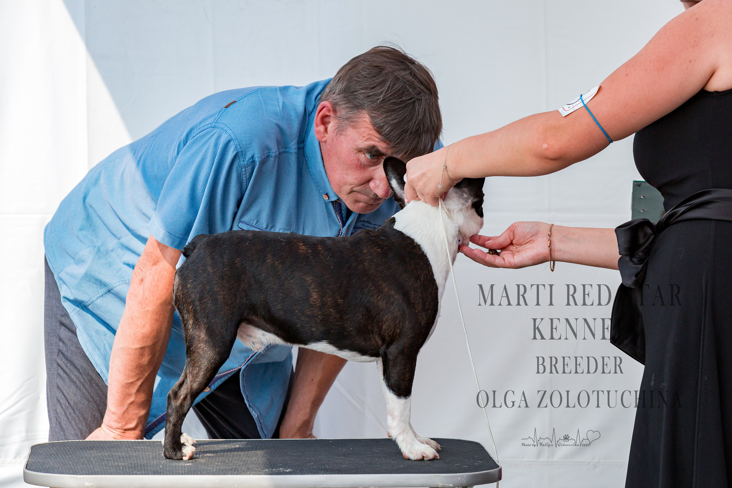 Сокольники 21.08,Сергиев Посад 27-28.08 2022. Фотограф-анималист Юлия Германика