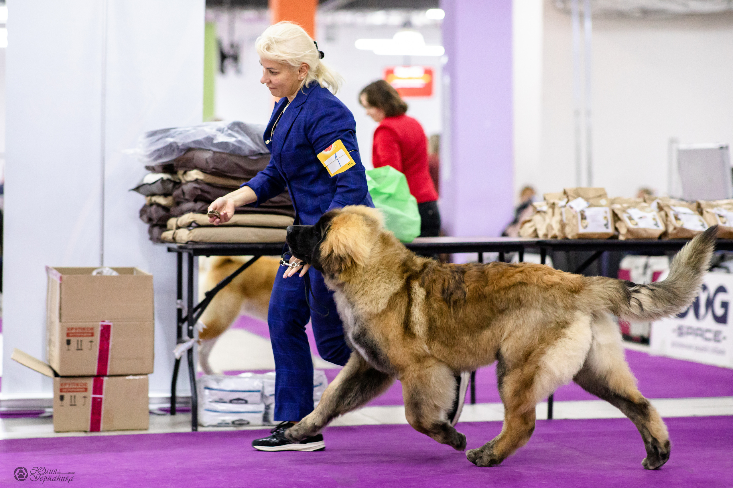 Чайна-Таун 29-30.10.2022. Фотограф-анималист Юлия Германика