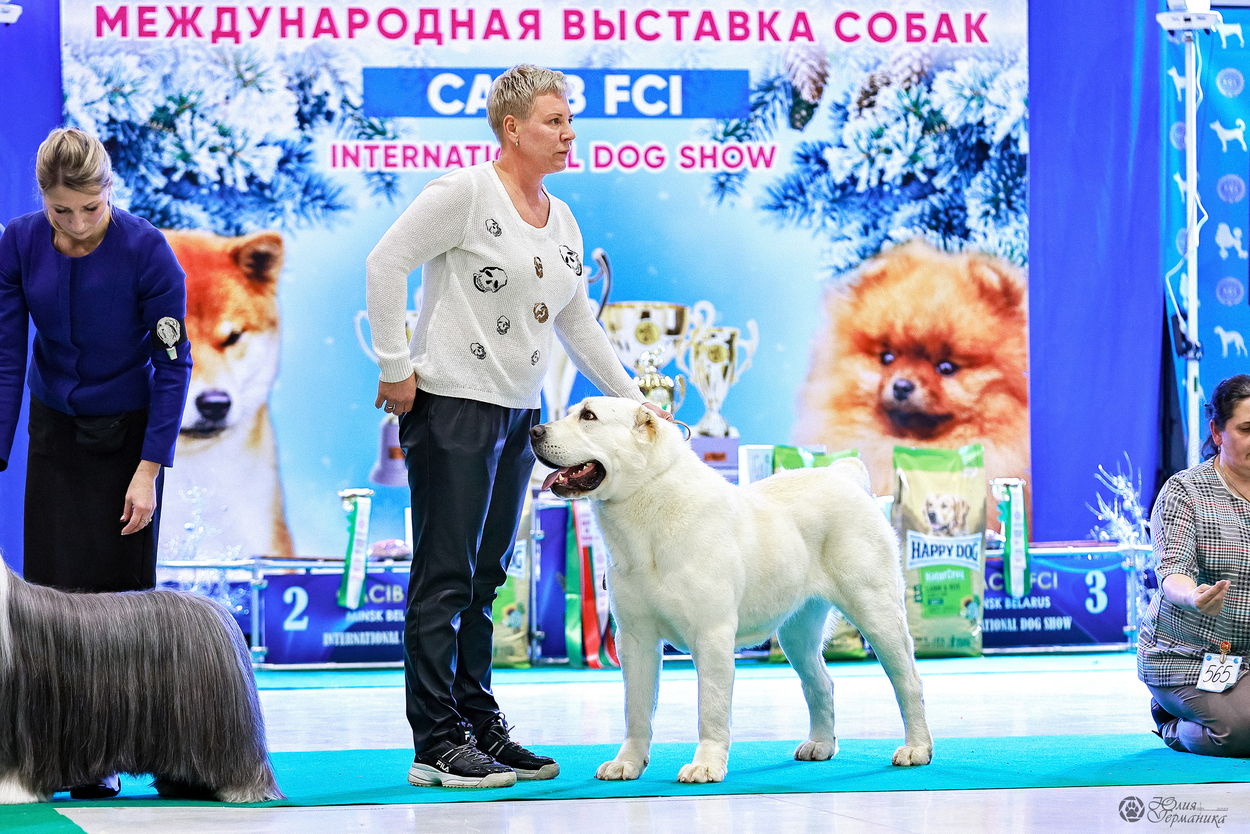 Минск 19-20.11.2022. Фотограф-анималист Юлия Германика