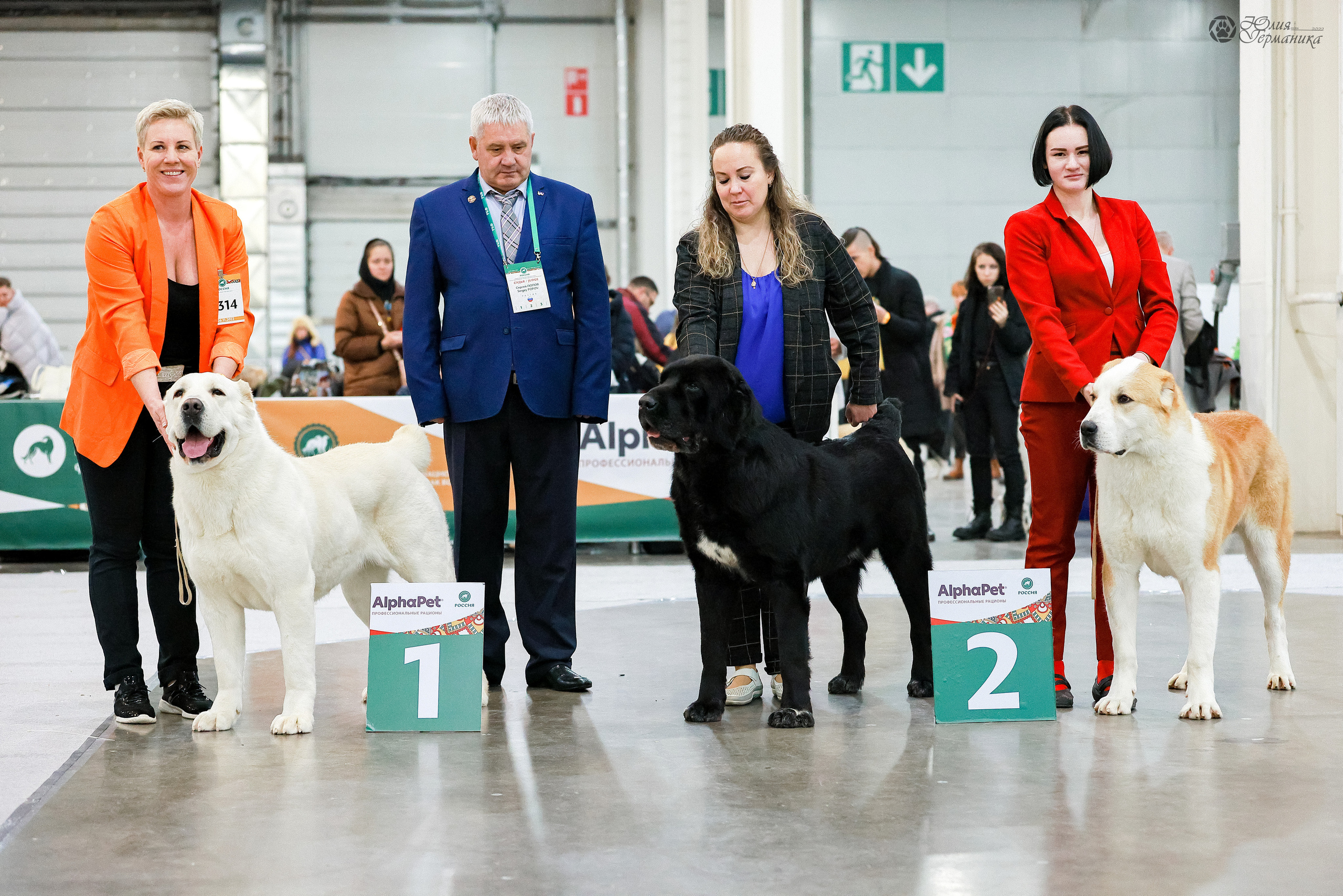 Россия 2020-2022 26-27.11.2022. Фотограф-анималист Юлия Германика