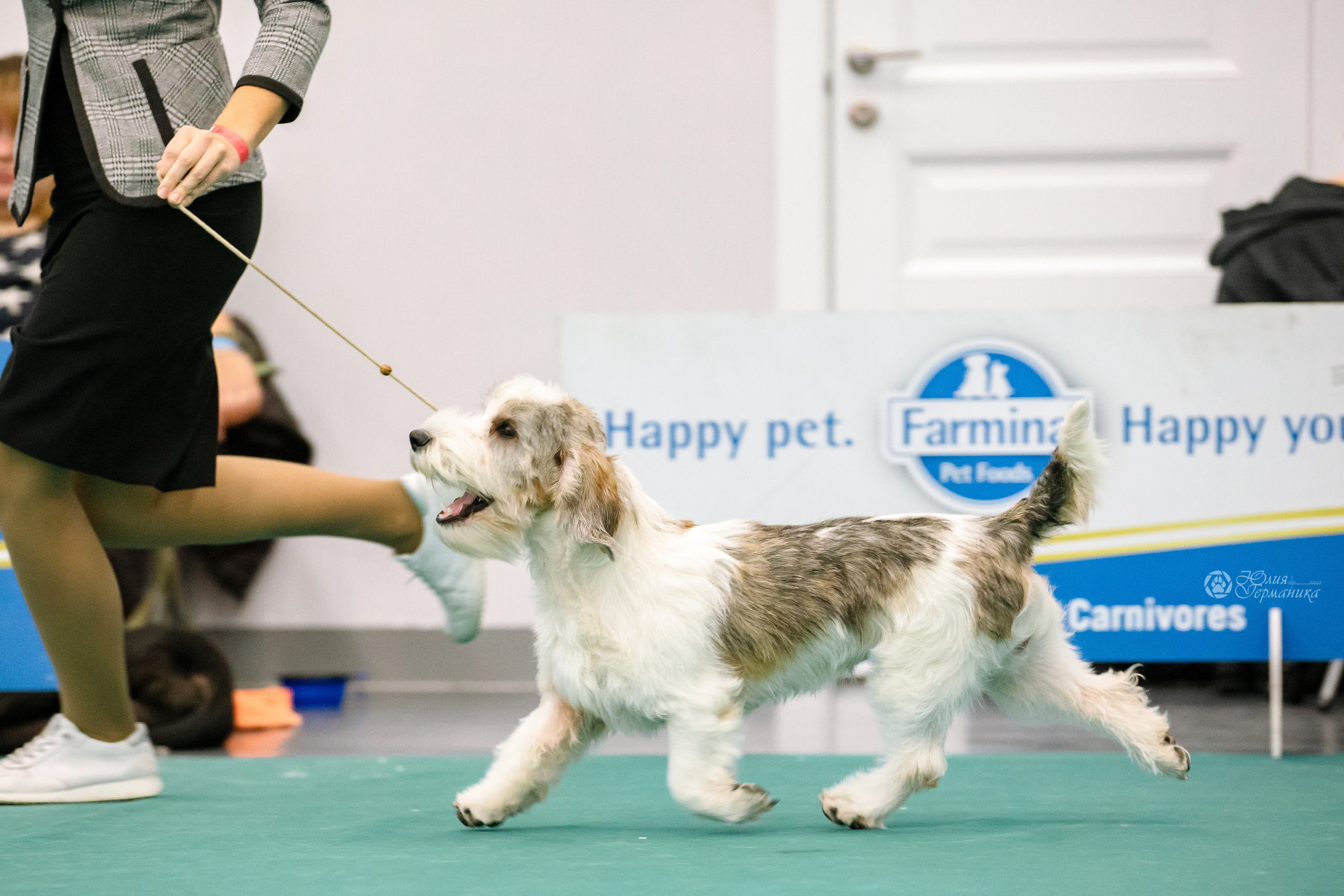 Нижний Новгород 15-16.10.2022. Фотограф-анималист Юлия Германика