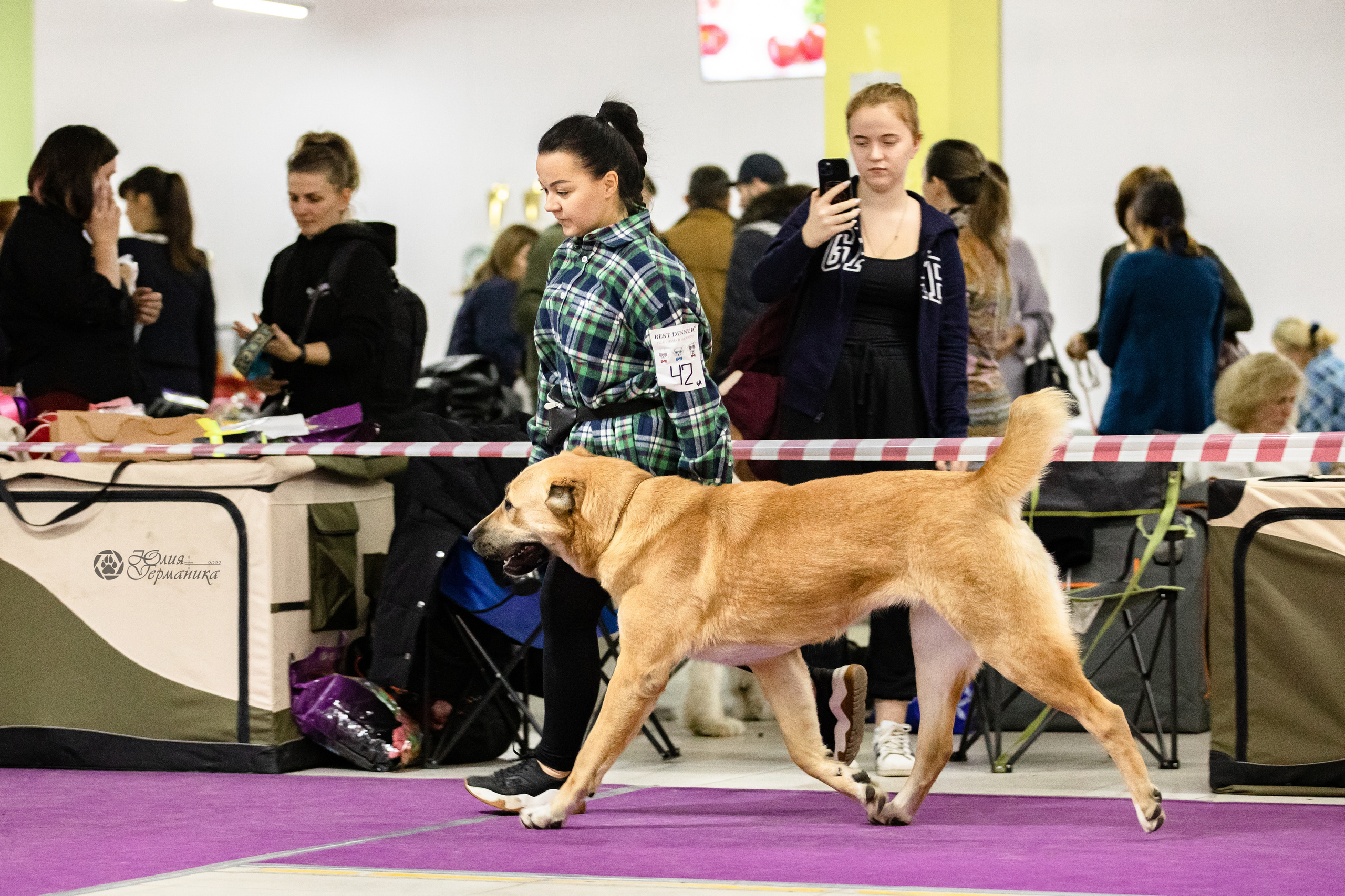 Чайна-Таун 29-30.10.2022. Фотограф-анималист Юлия Германика