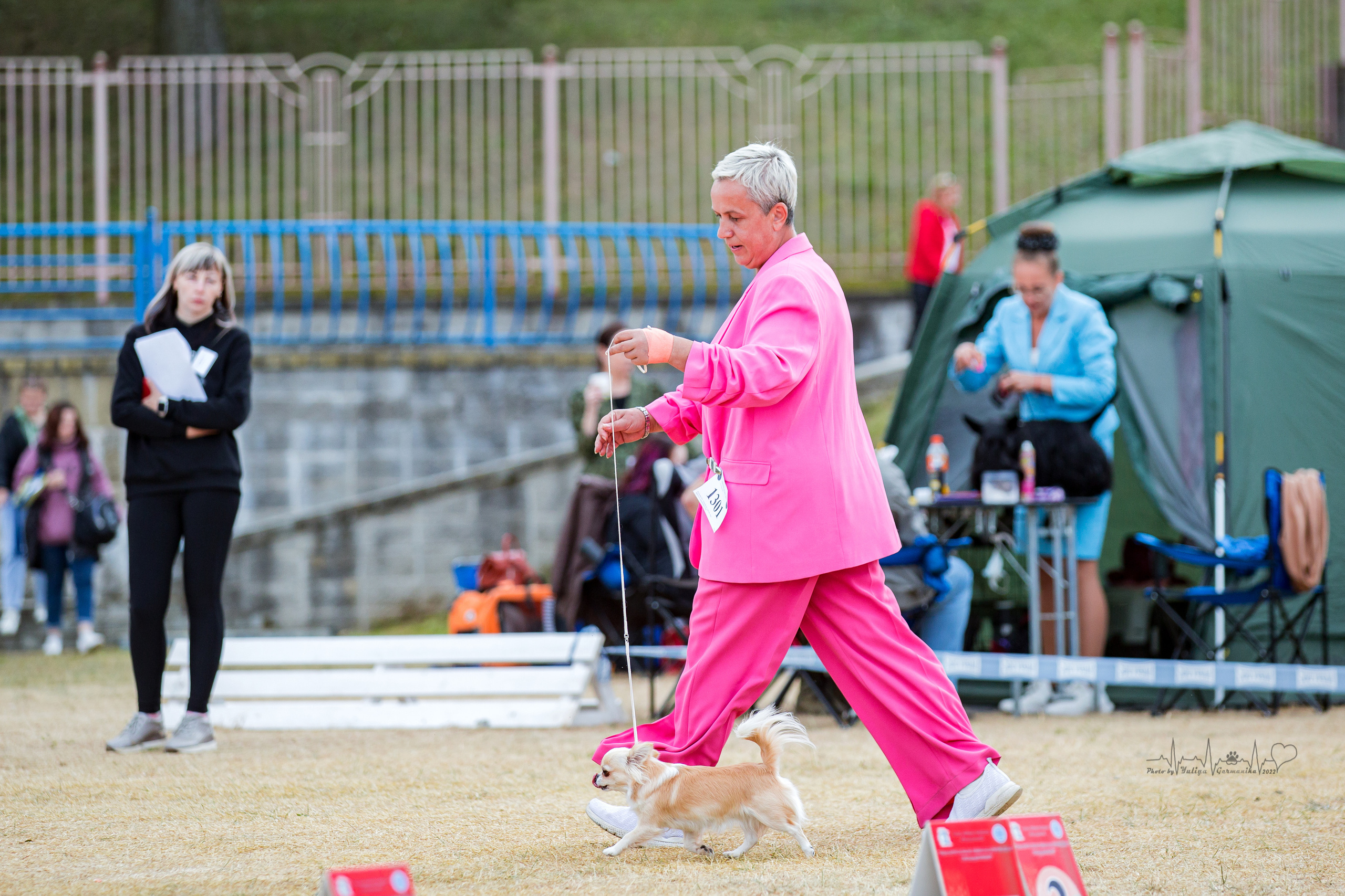 Минск 2хCACIB 3-4.09.2022. Фотограф-анималист Юлия Германика