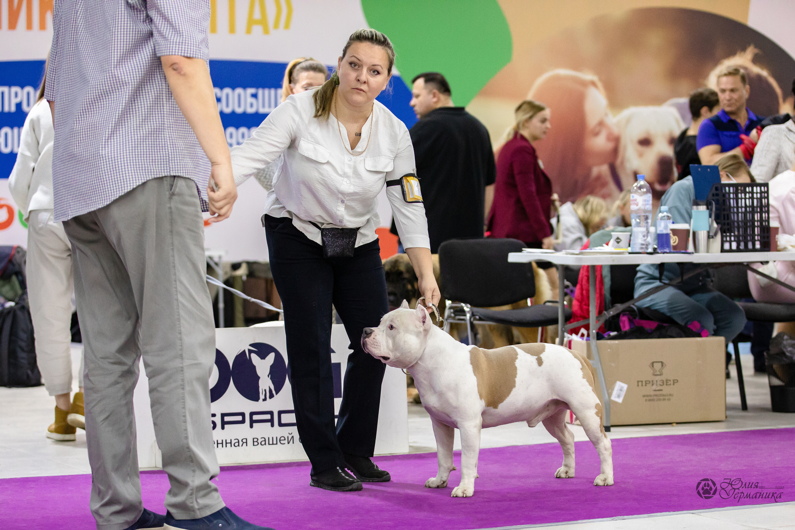 Чайна-Таун 29-30.10.2022. Фотограф-анималист Юлия Германика