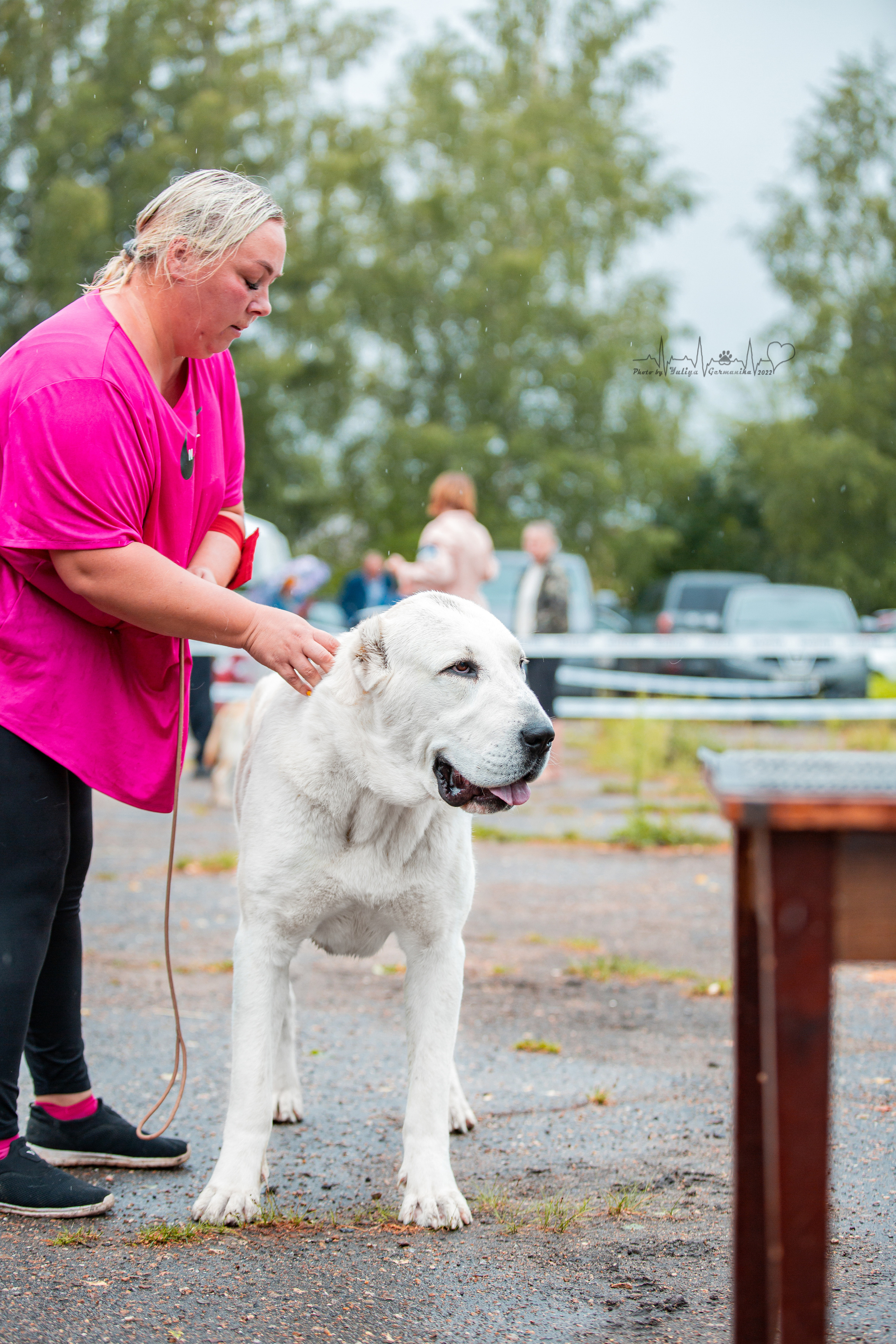 Ховрино 31.07,Чайна-Таун 6.08,Тверь 7.08. Фотограф-анималист Юлия Германика