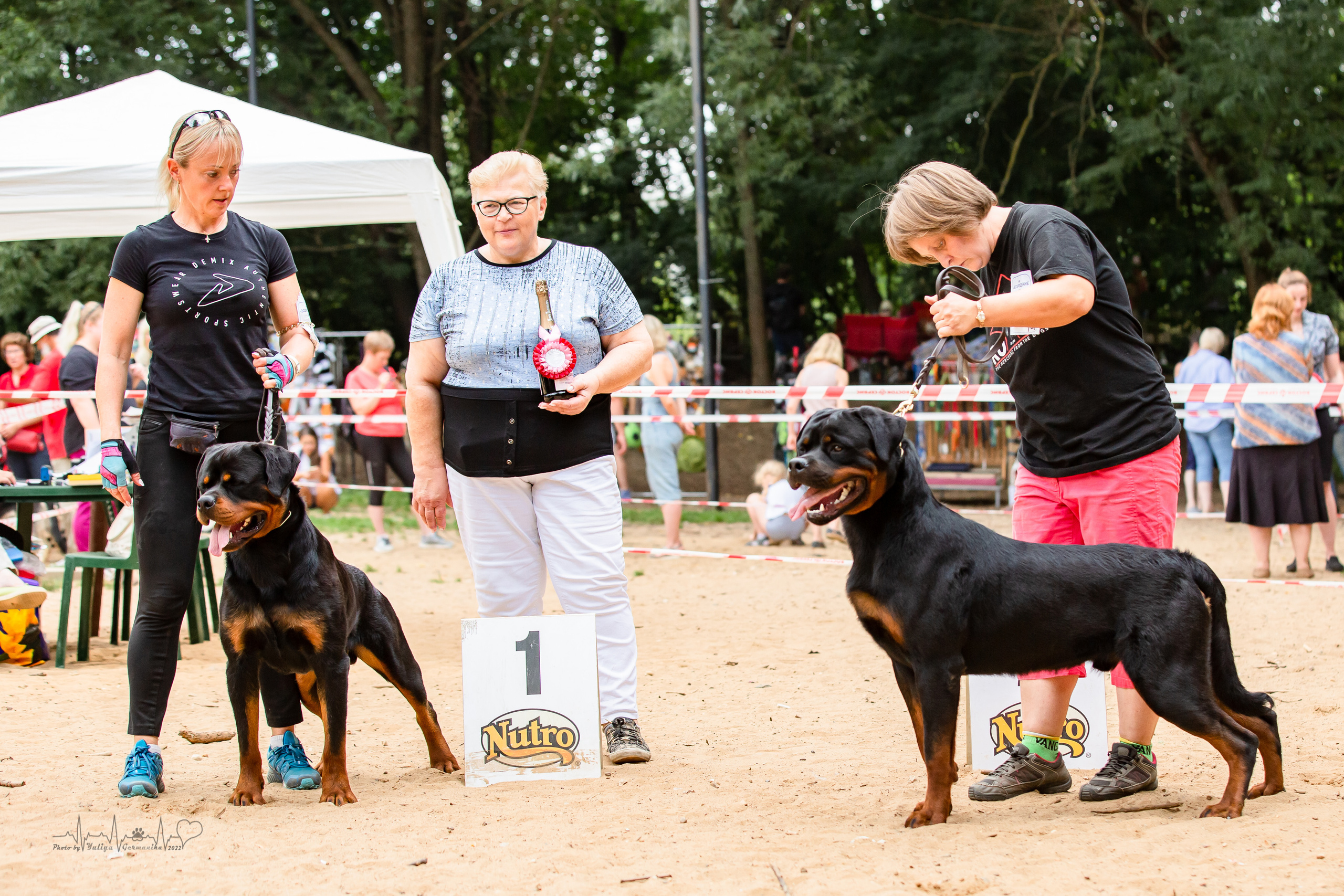 Ховрино фестиваль монопородок 14.08.2022. Фотограф-анималист Юлия Германика