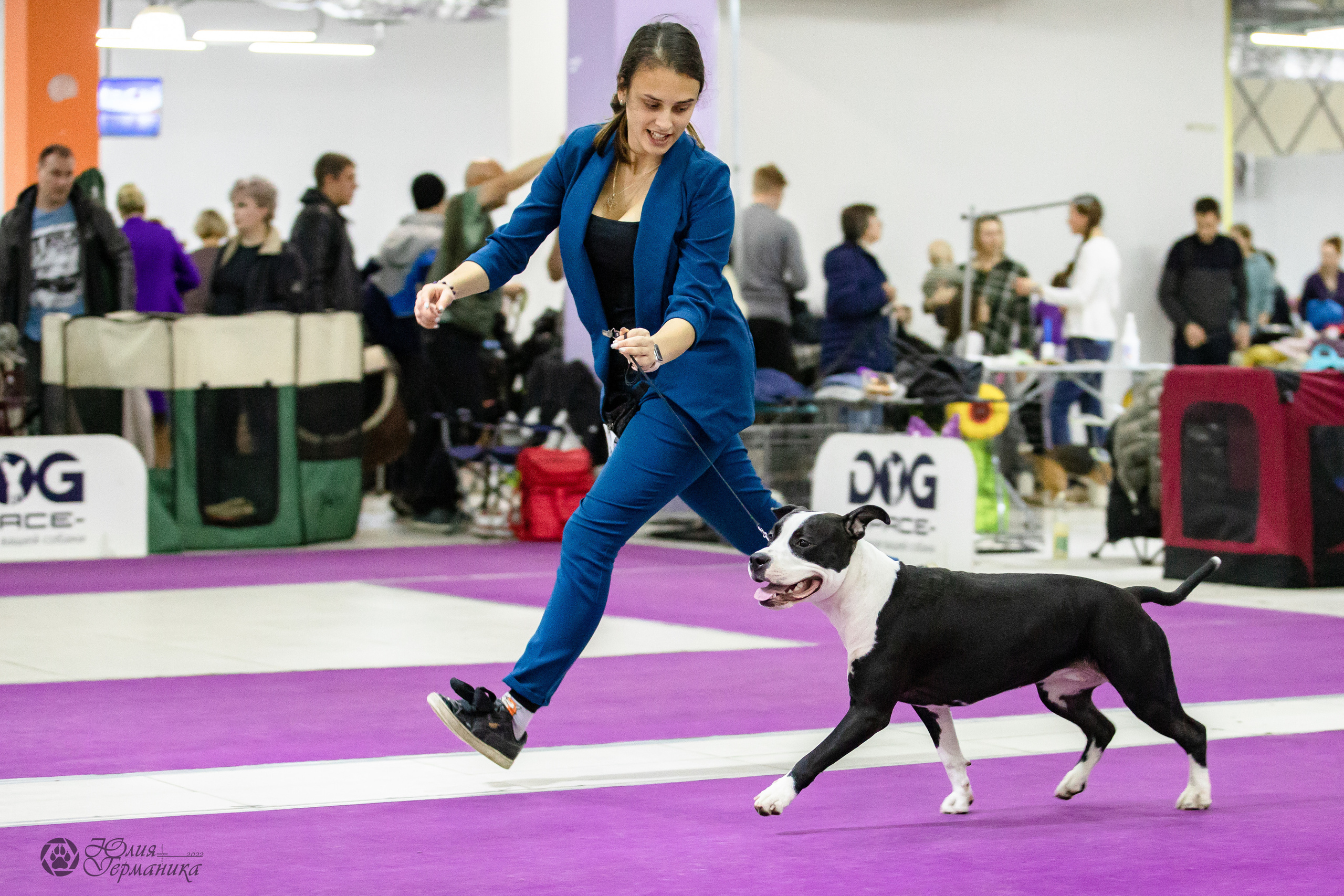 Чайна-Таун 29-30.10.2022. Фотограф-анималист Юлия Германика