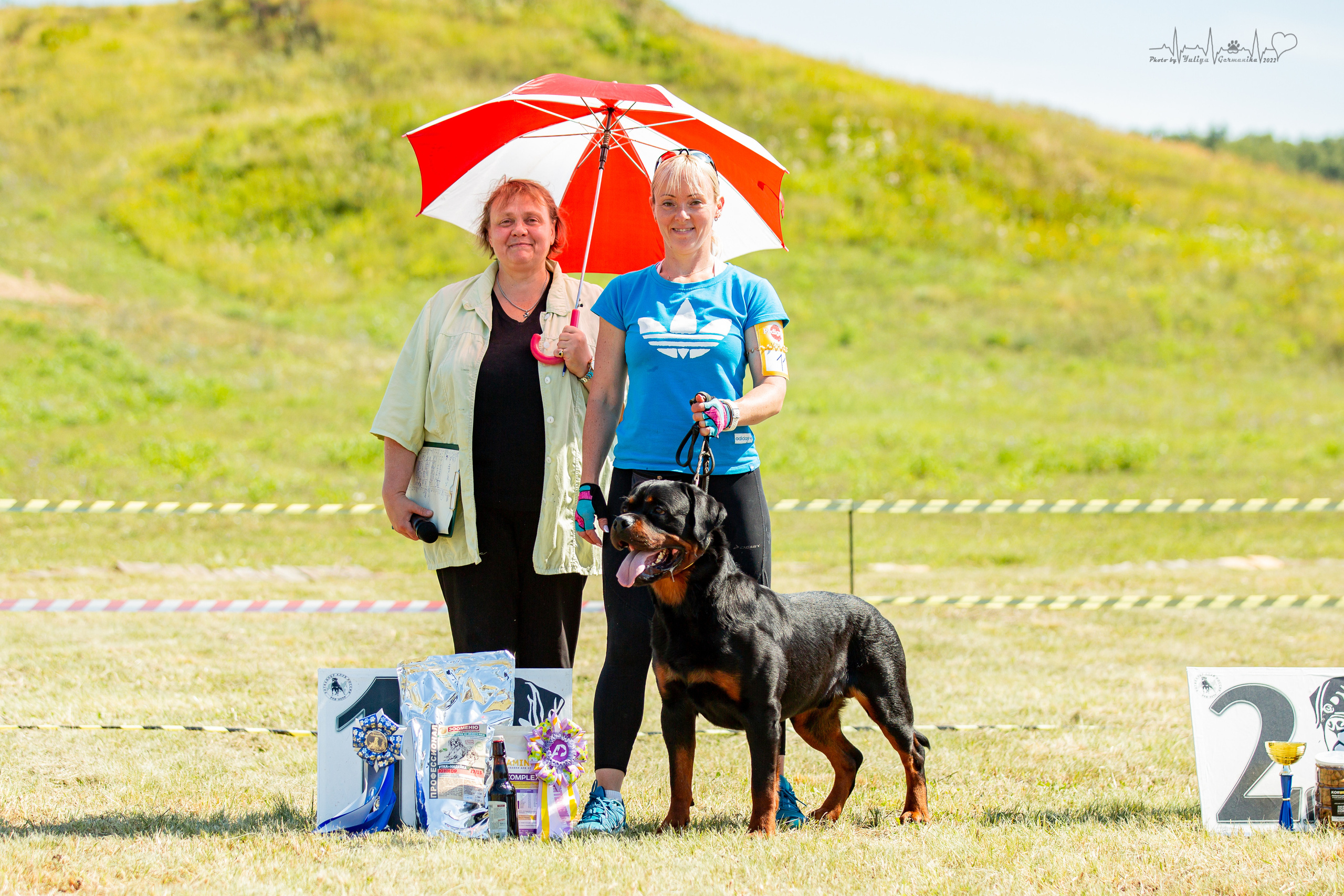 Рязань моно ротвейлеров 13.08.2022. Фотограф-анималист Юлия Германика