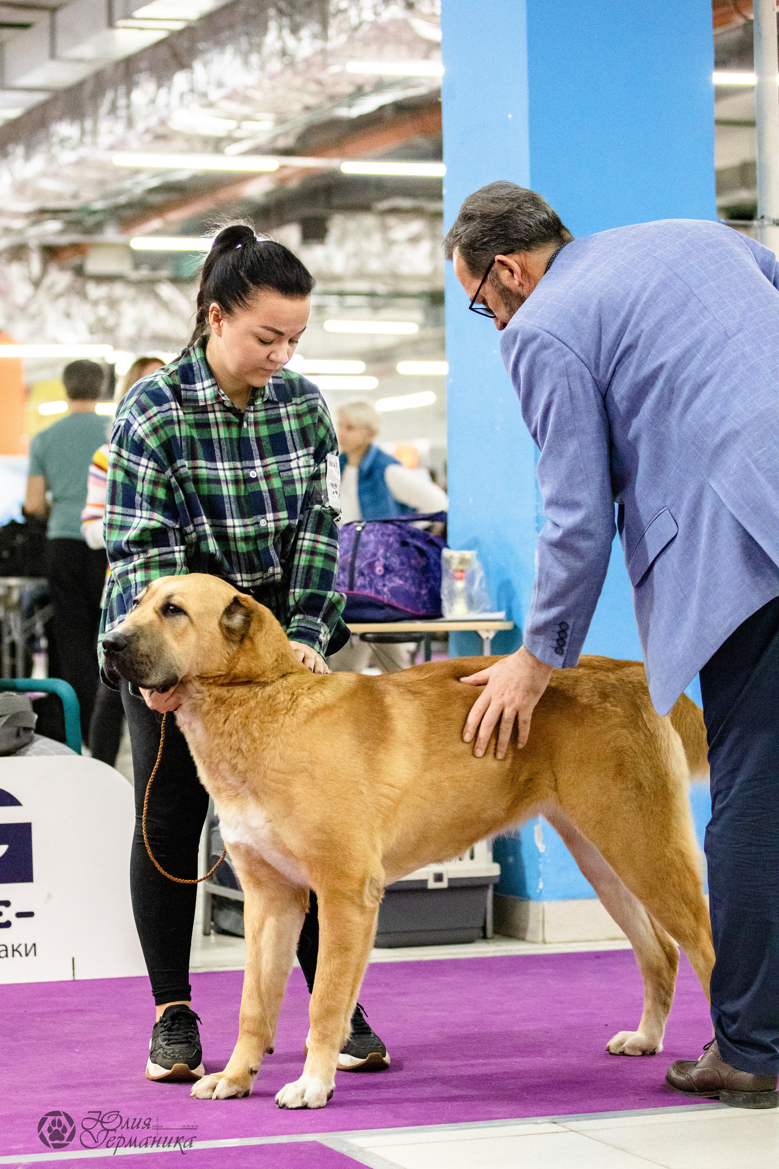 Чайна-Таун 29-30.10.2022. Фотограф-анималист Юлия Германика