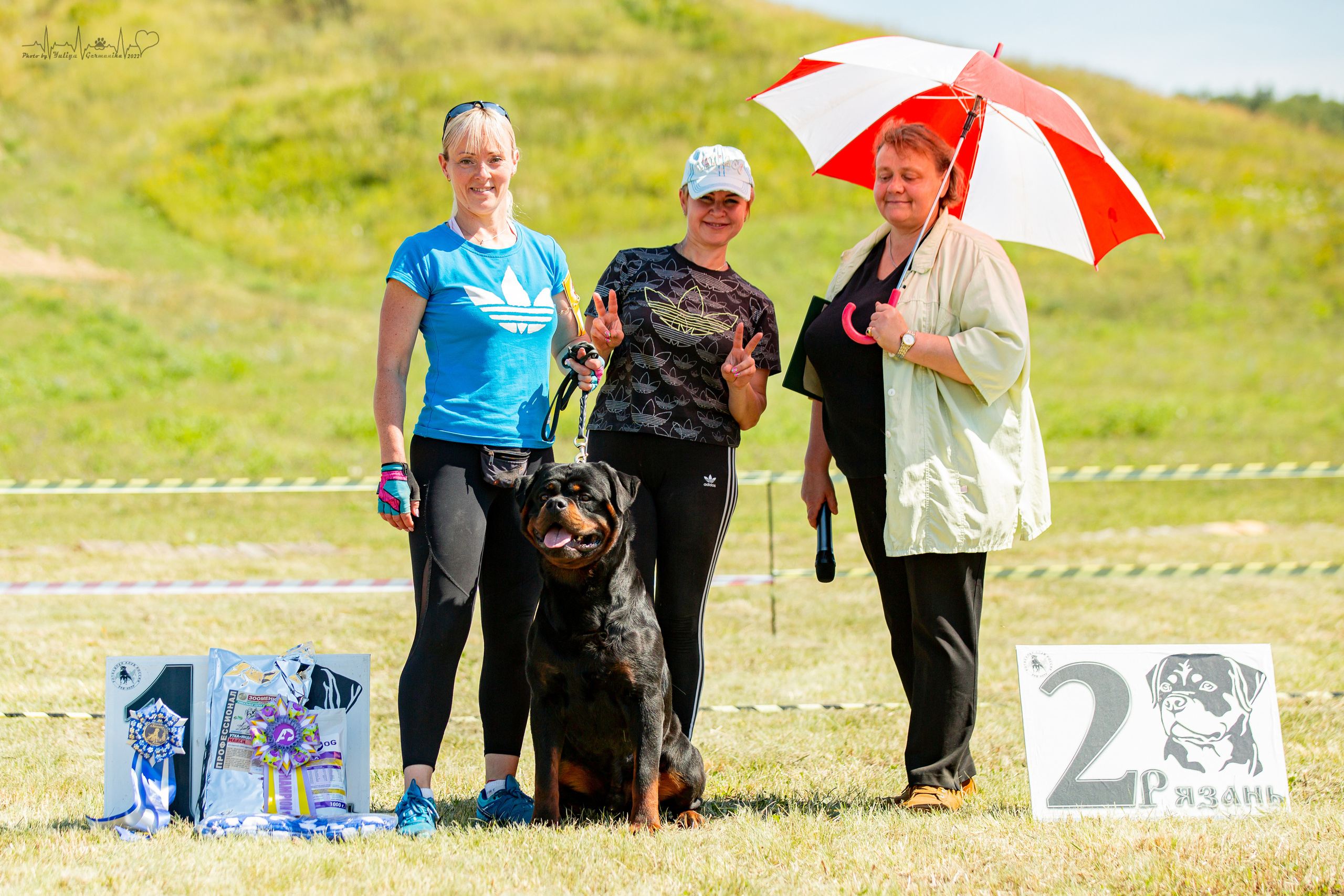 Рязань моно ротвейлеров 13.08.2022. Фотограф-анималист Юлия Германика