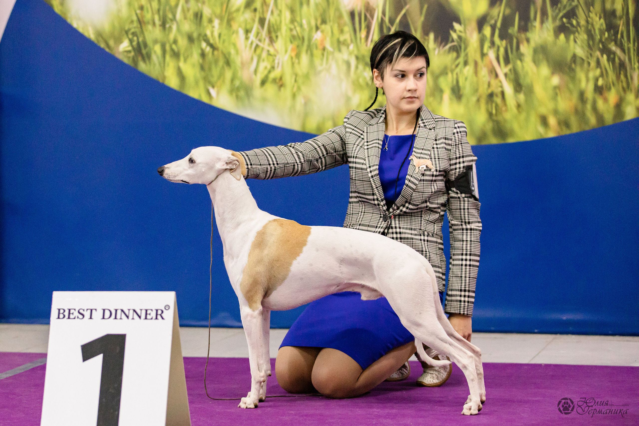 Чайна-Таун 29-30.10.2022. Фотограф-анималист Юлия Германика