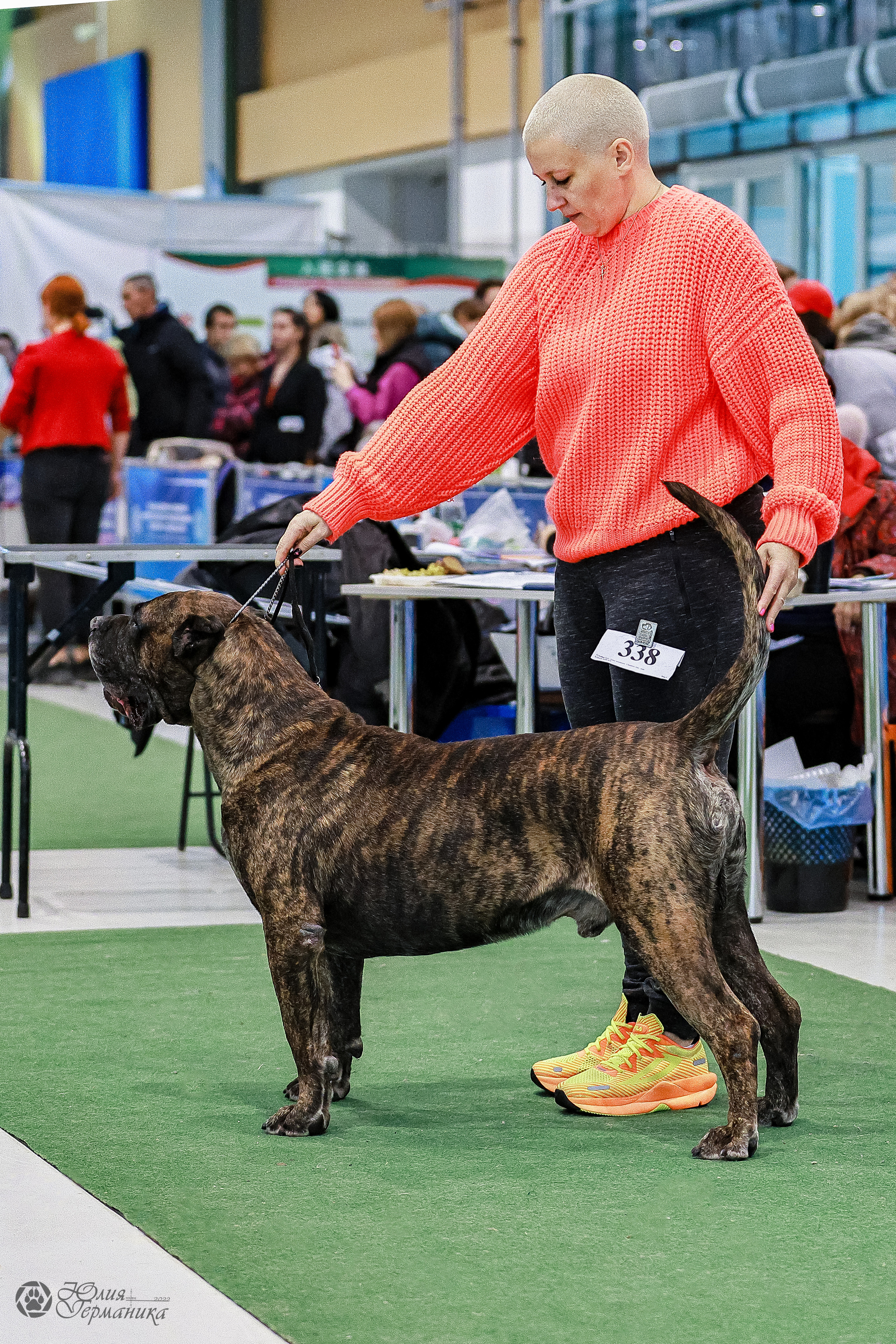 Минск 19-20.11.2022. Фотограф-анималист Юлия Германика