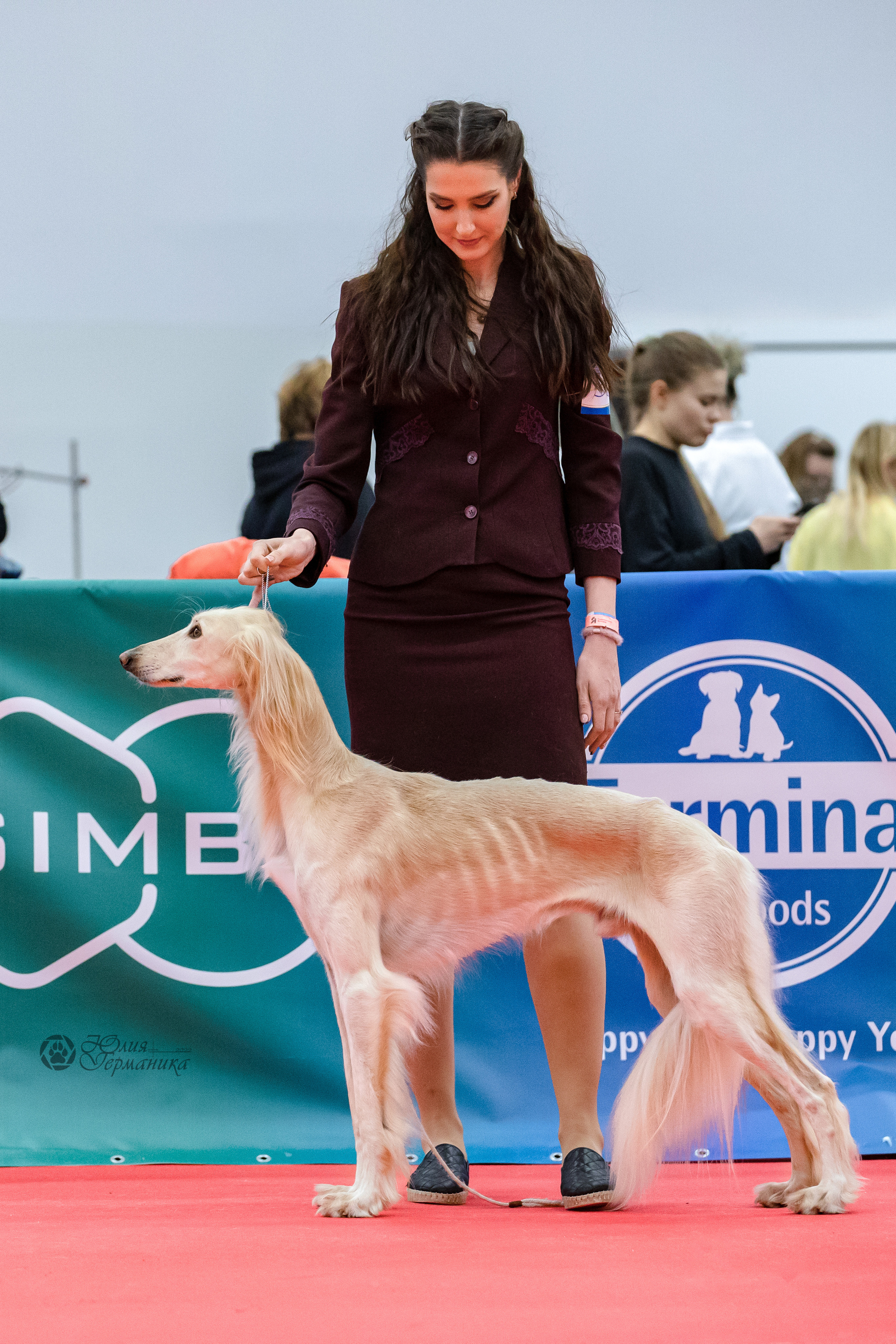 Нижний Новгород 15-16.10.2022. Фотограф-анималист Юлия Германика