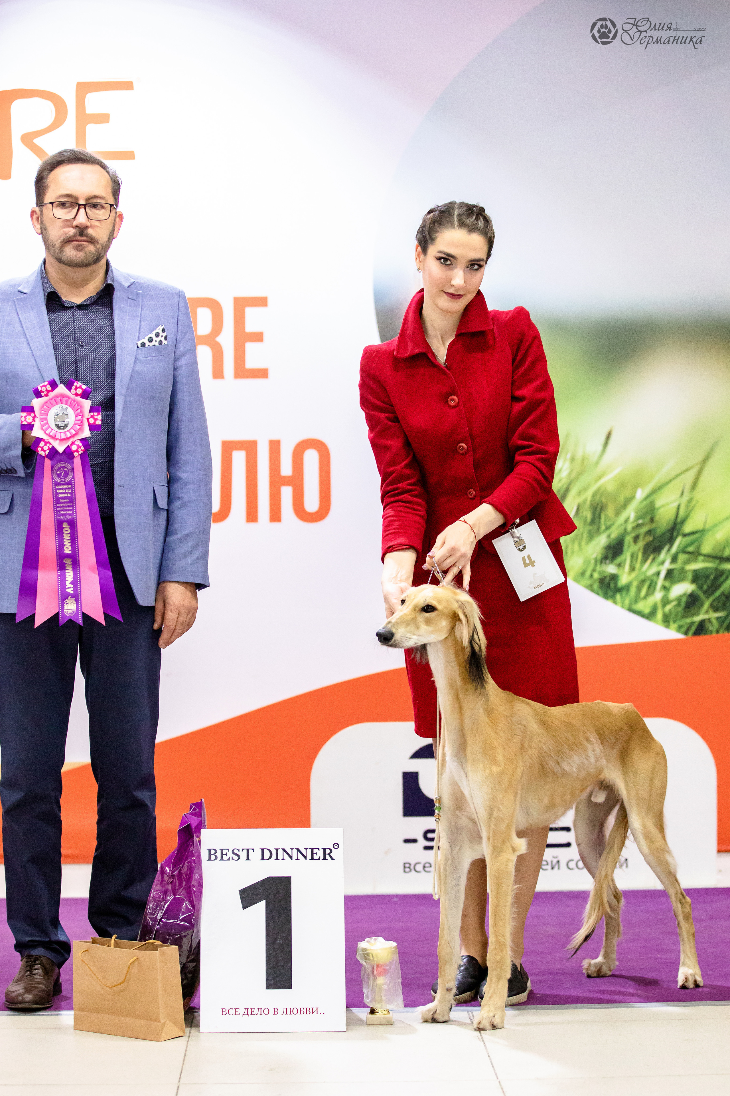 Чайна-Таун 29-30.10.2022. Фотограф-анималист Юлия Германика