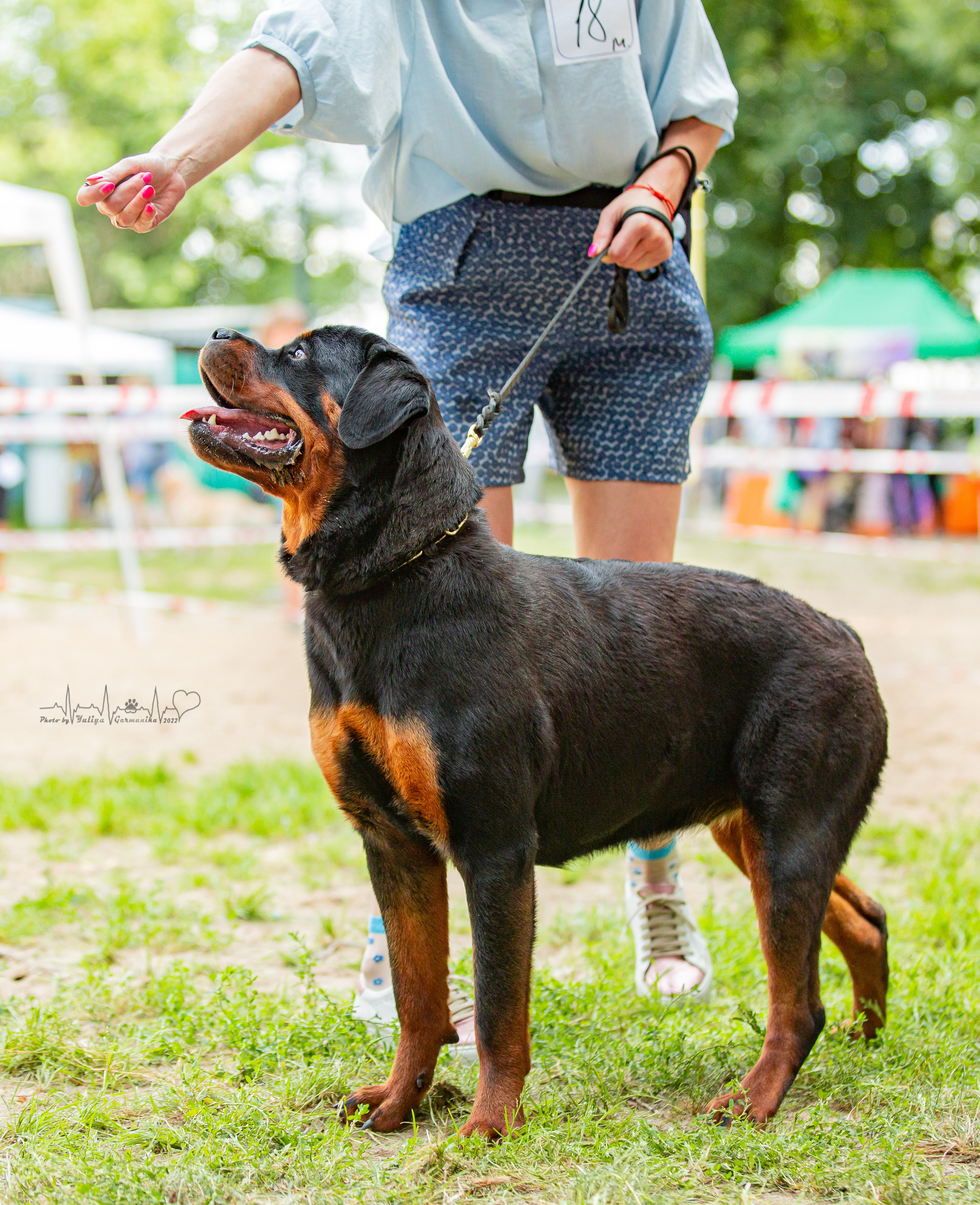Ховрино фестиваль монопородок 14.08.2022. Фотограф-анималист Юлия Германика
