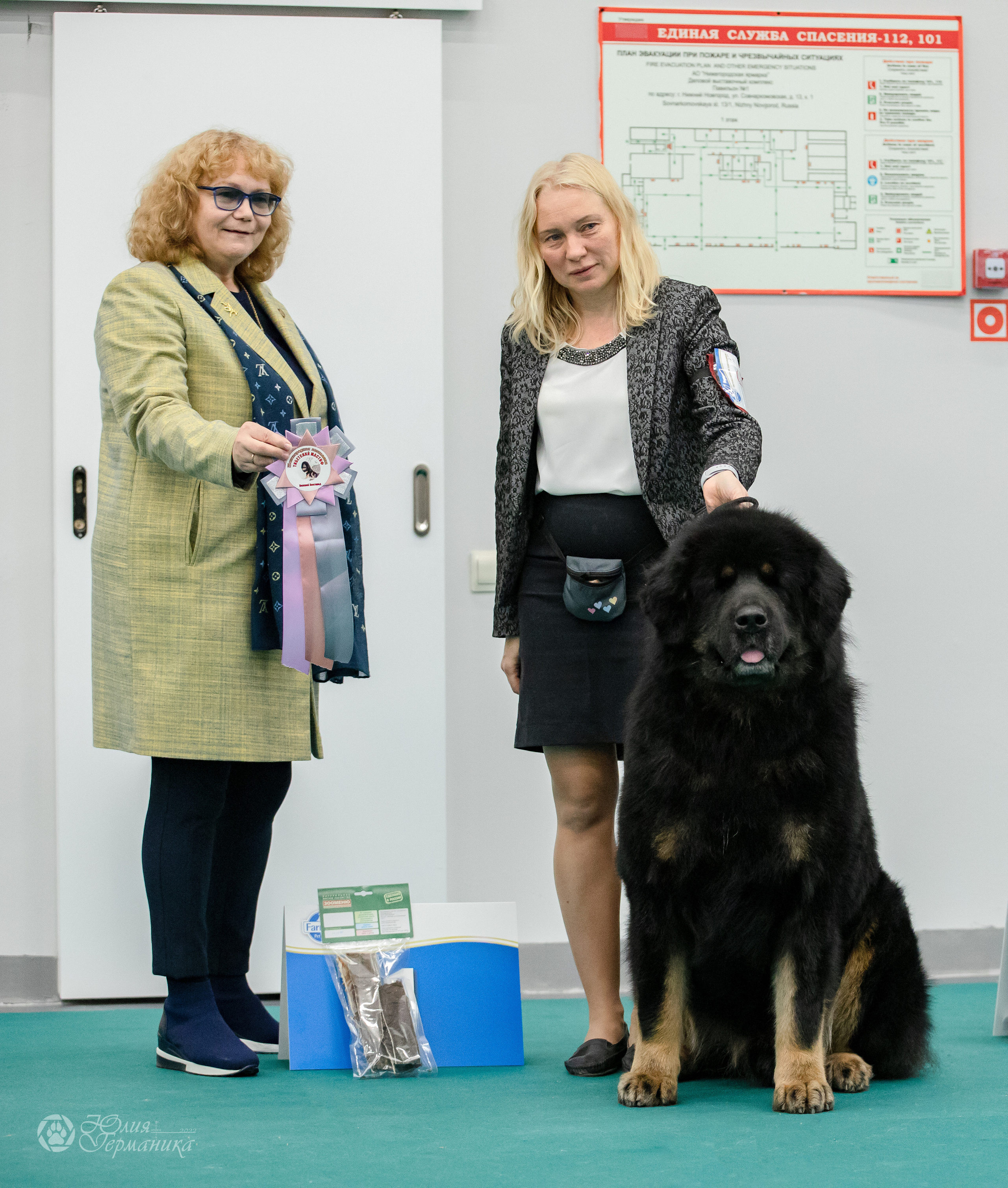 Нижний Новгород 15-16.10.2022. Фотограф-анималист Юлия Германика