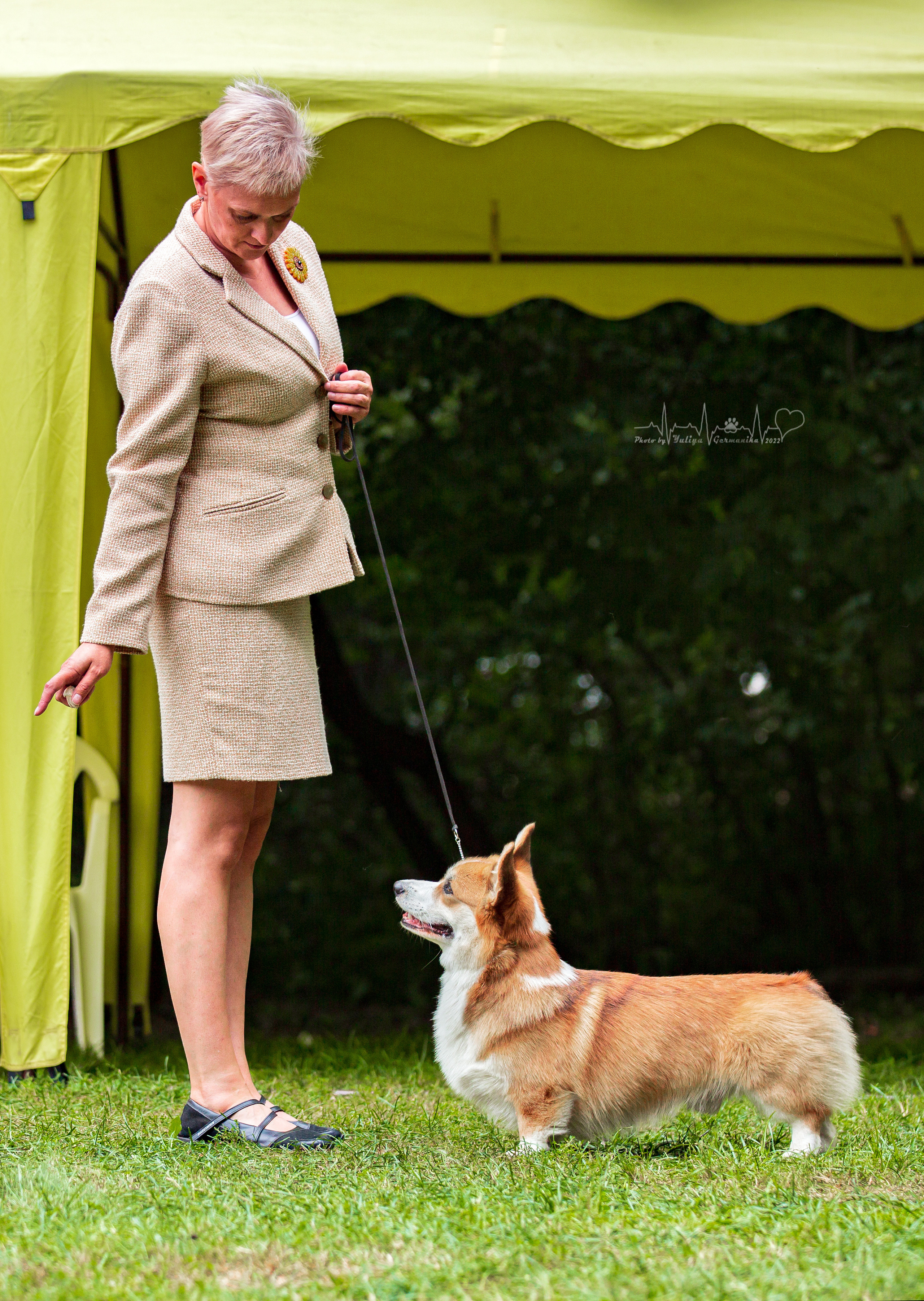 Сокольники 21.08,Сергиев Посад 27-28.08 2022. Фотограф-анималист Юлия Германика