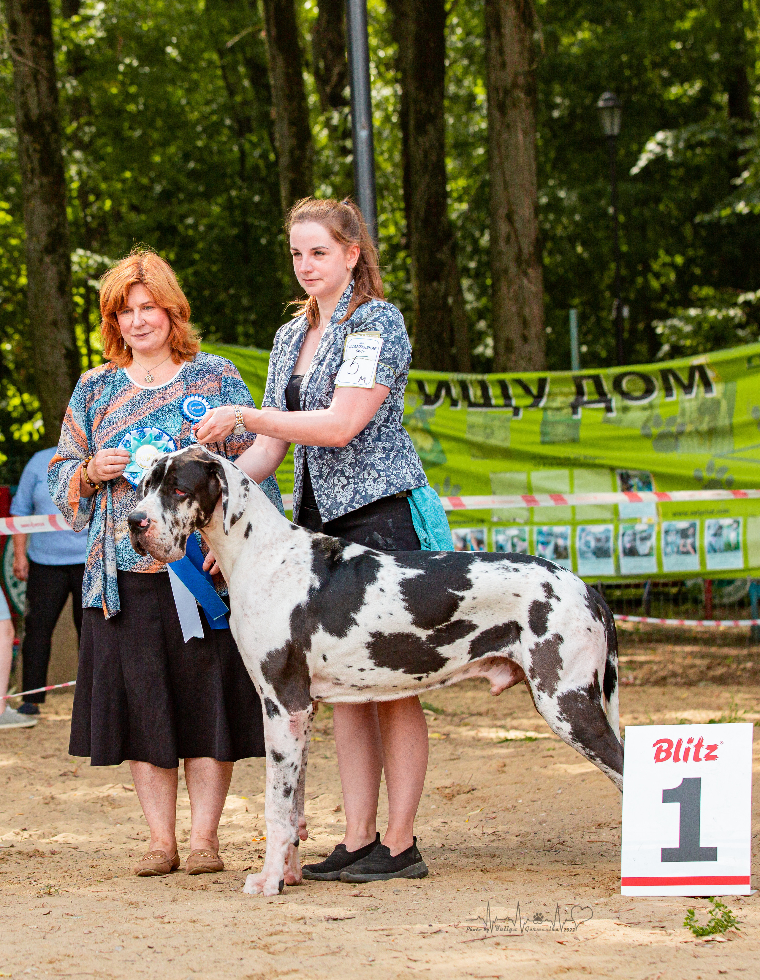 Ховрино фестиваль монопородок 14.08.2022. Фотограф-анималист Юлия Германика