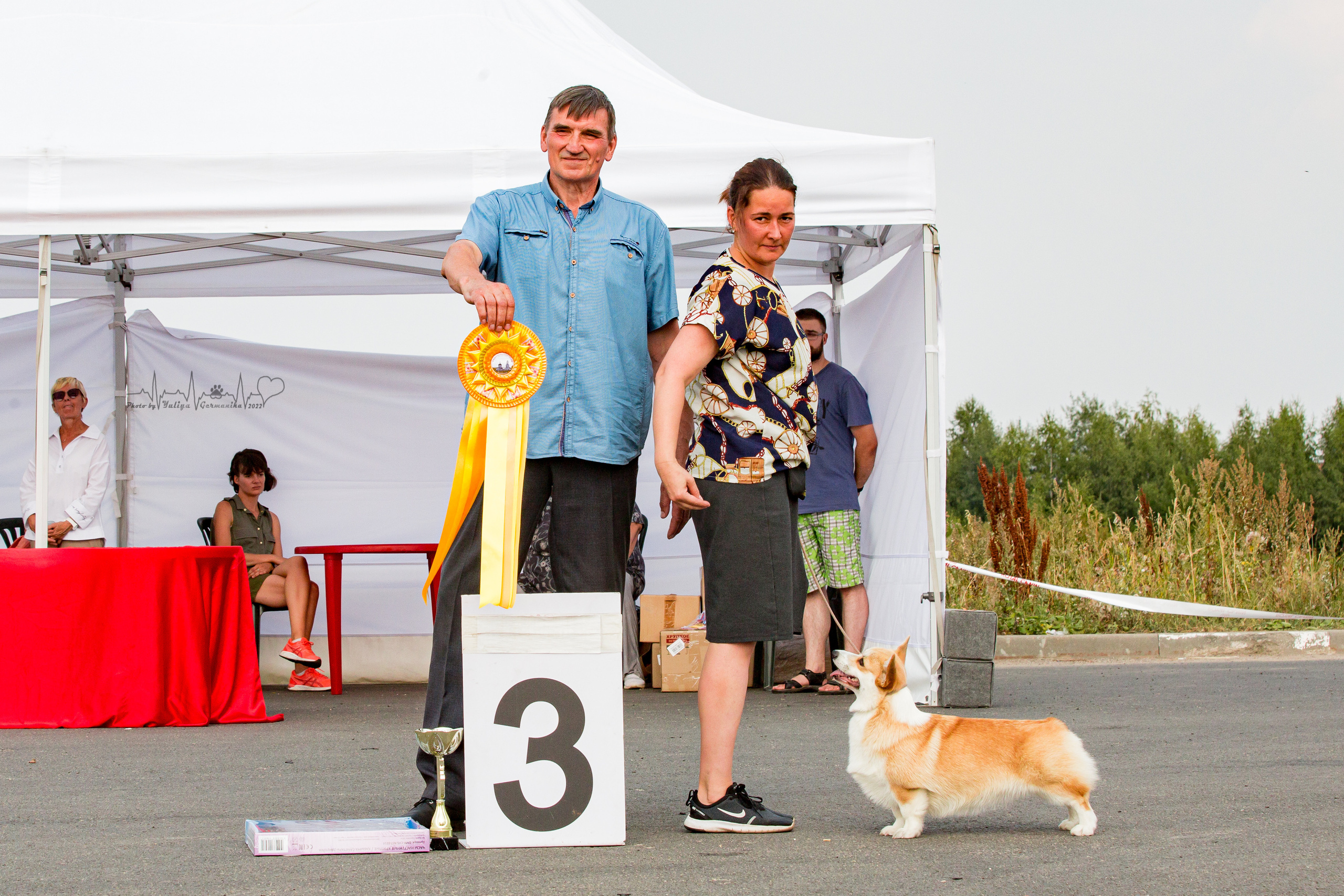 Сокольники 21.08,Сергиев Посад 27-28.08 2022. Фотограф-анималист Юлия Германика