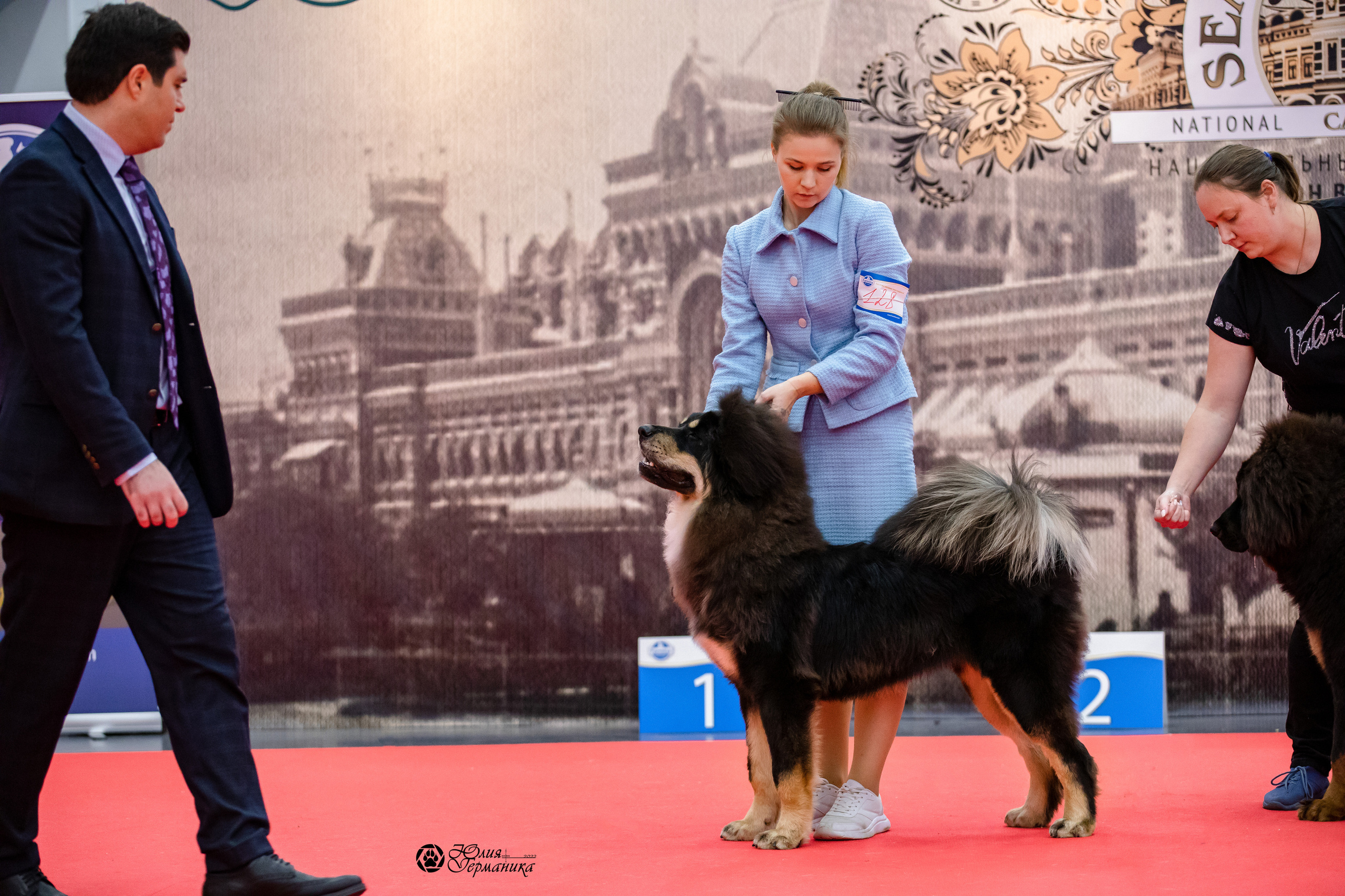 Нижний Новгород 15-16.10.2022. Фотограф-анималист Юлия Германика