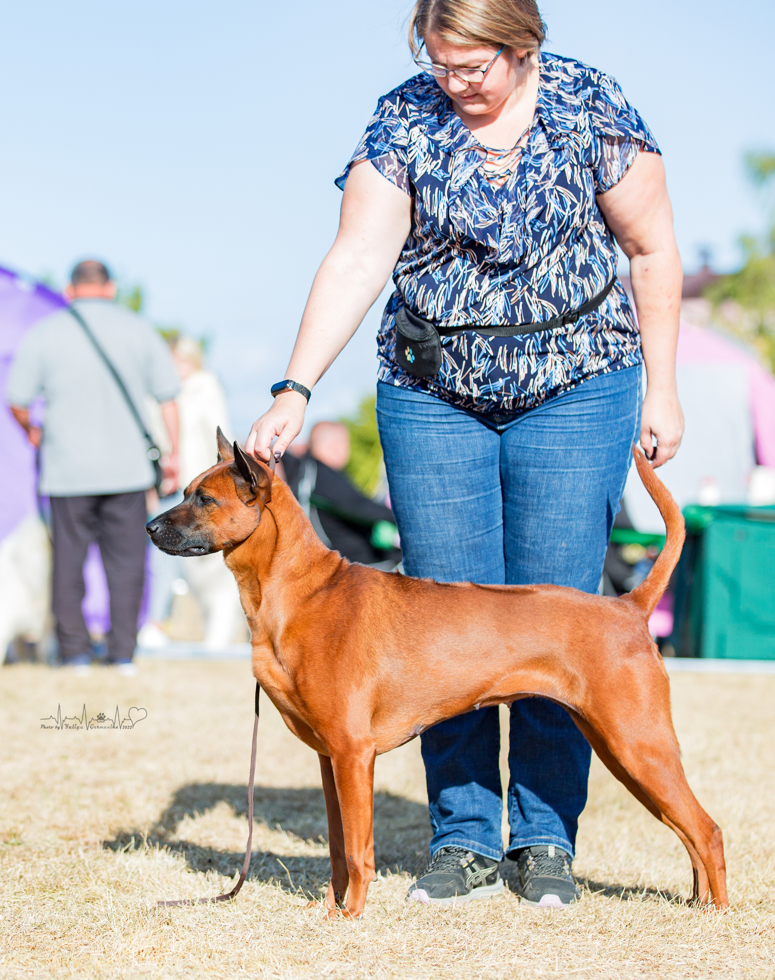 Минск 2хCACIB 3-4.09.2022. Фотограф-анималист Юлия Германика