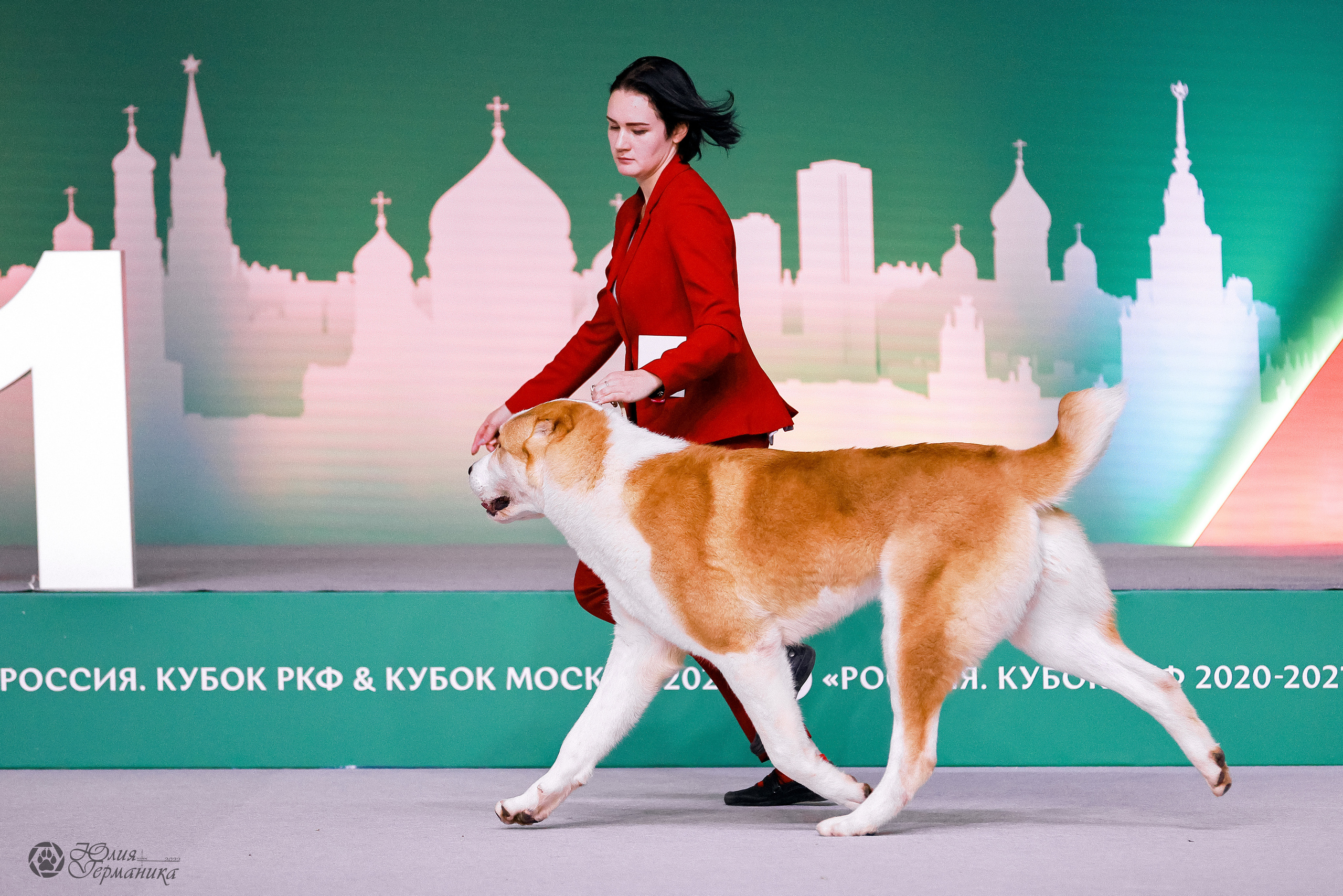 Россия 2020-2022 26-27.11.2022. Фотограф-анималист Юлия Германика