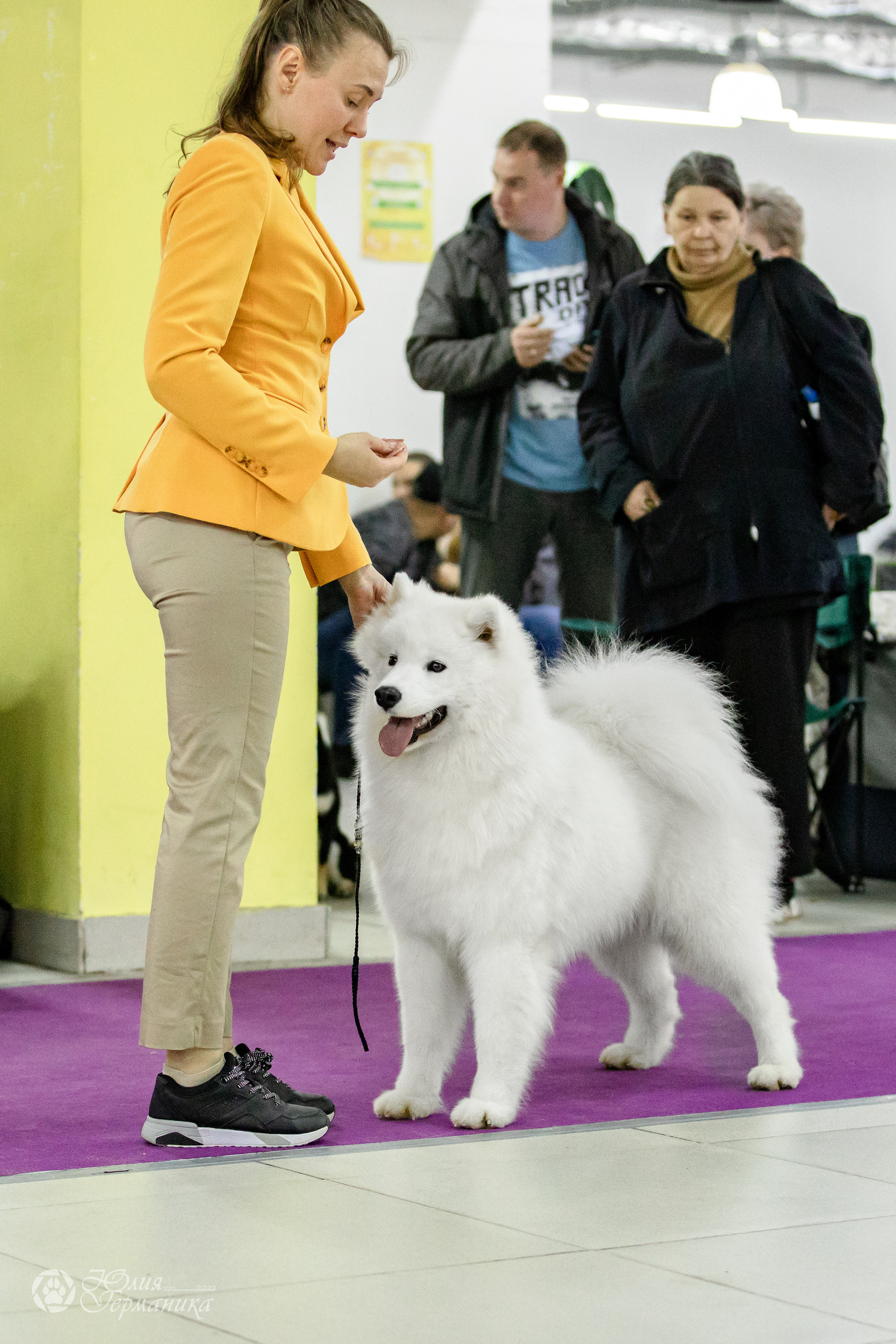 Чайна-Таун 29-30.10.2022. Фотограф-анималист Юлия Германика