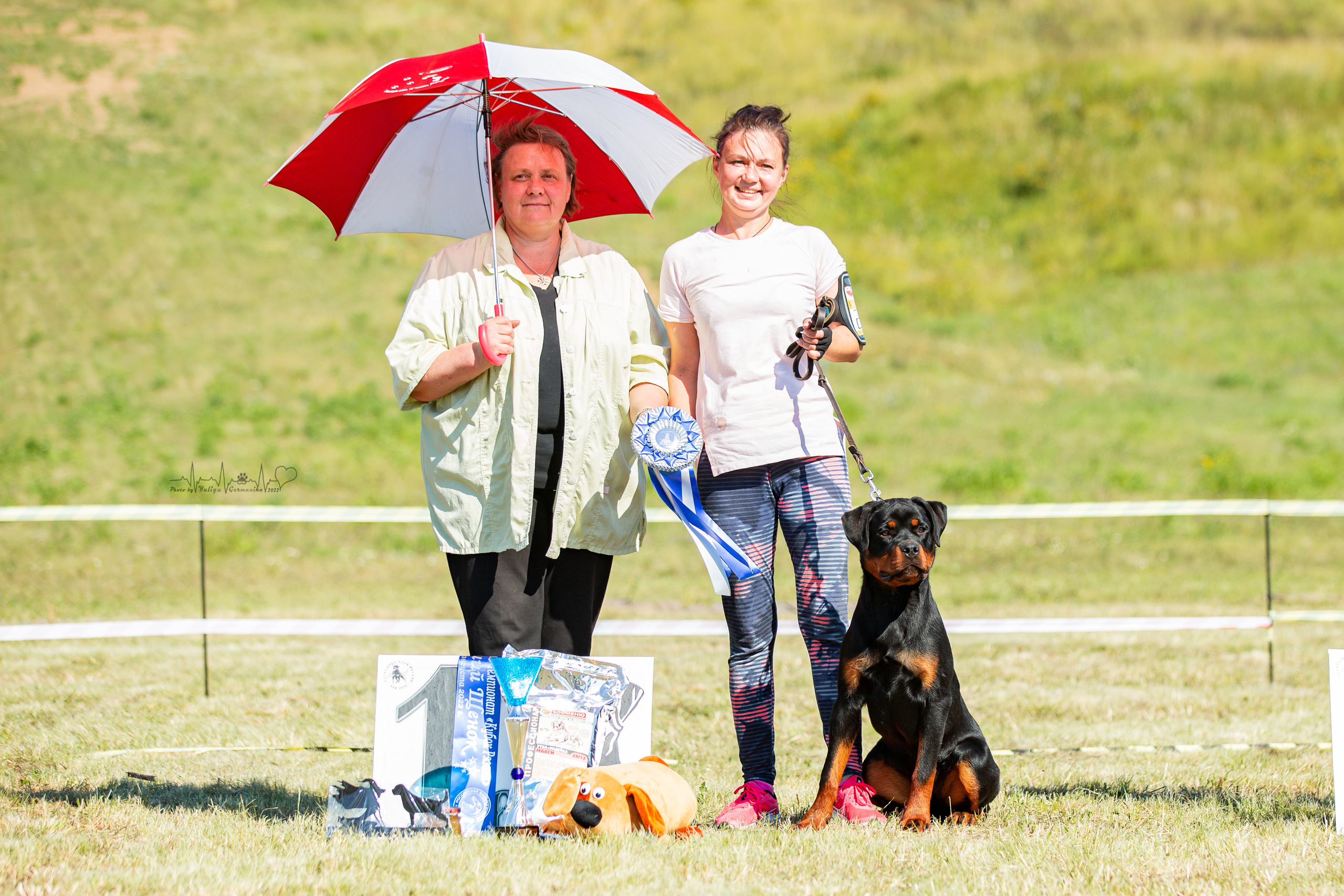 Рязань моно ротвейлеров 13.08.2022. Фотограф-анималист Юлия Германика