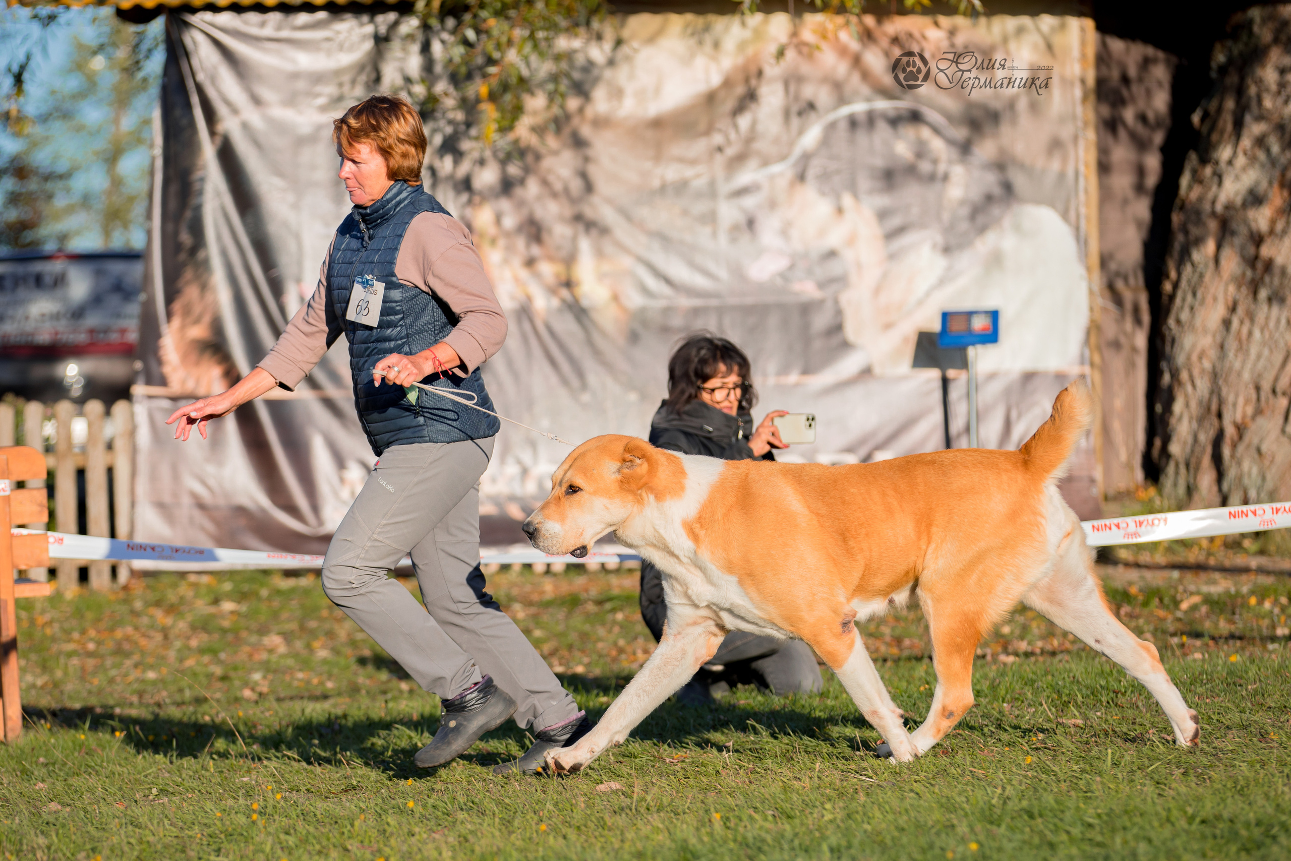 Александрова Слобода моно сао 2.10.2022. Фотограф-анималист Юлия Германика