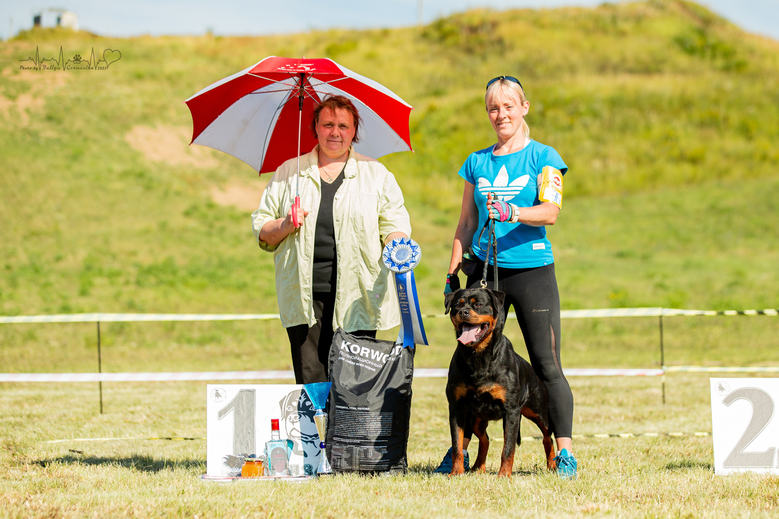 Рязань моно ротвейлеров 13.08.2022. Фотограф-анималист Юлия Германика