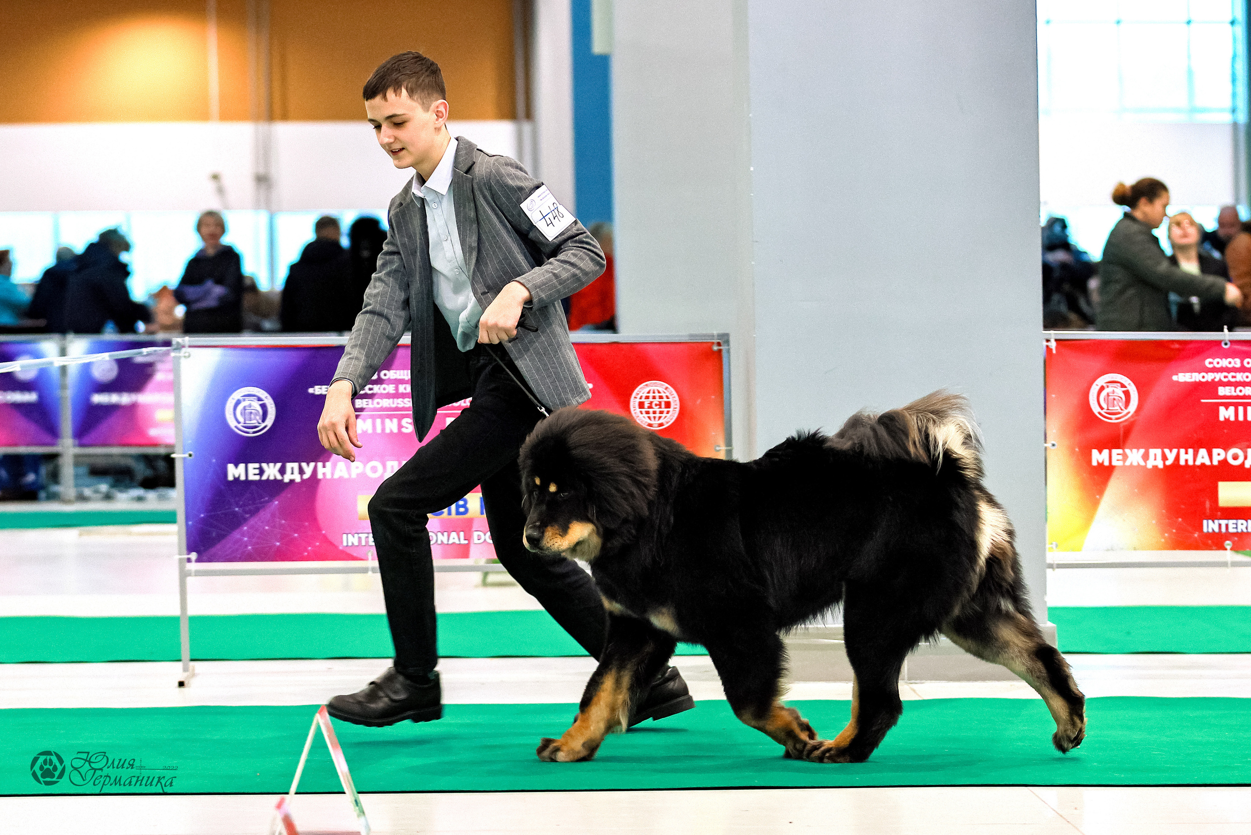 Минск 19-20.11.2022. Фотограф-анималист Юлия Германика