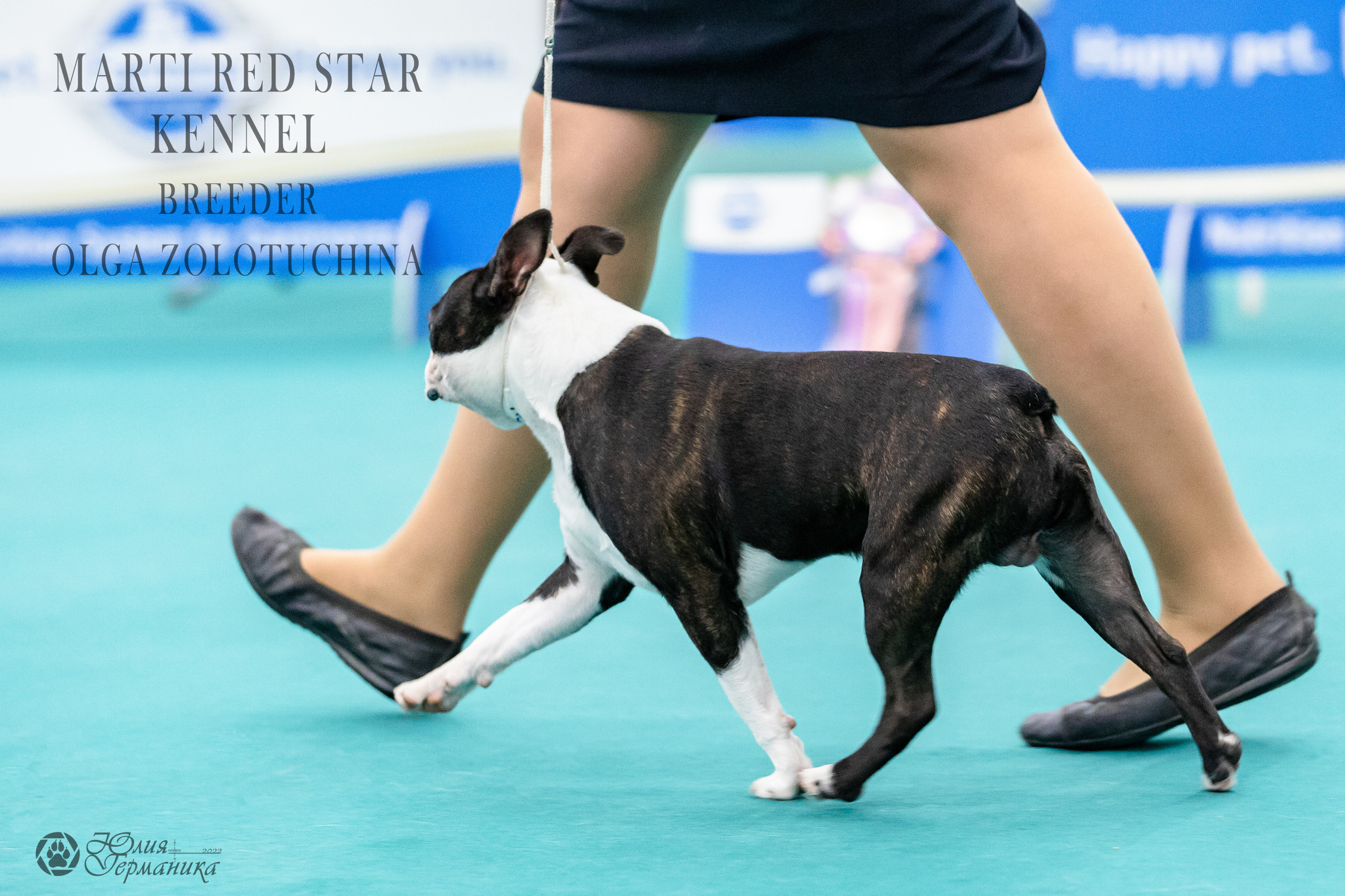 Нижний Новгород 15-16.10.2022. Фотограф-анималист Юлия Германика