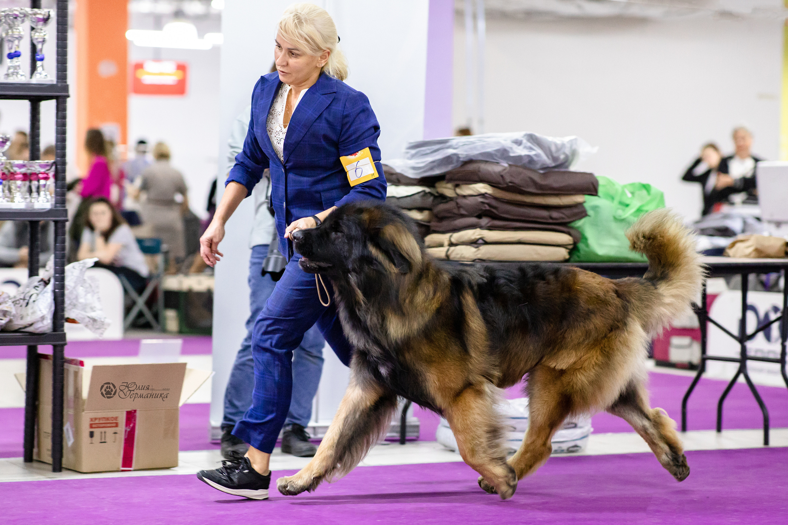 Чайна-Таун 29-30.10.2022. Фотограф-анималист Юлия Германика