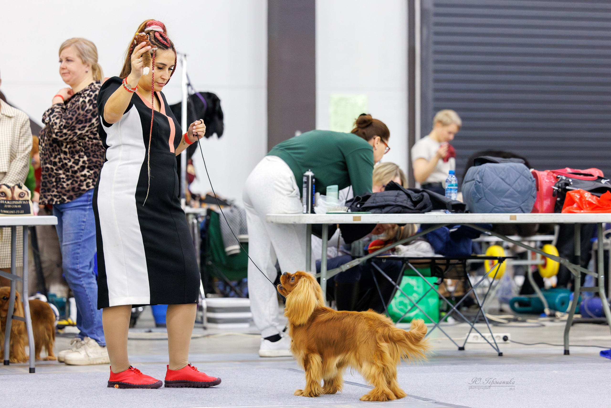 Питер 12-13.12.2025. Фотограф-анималист Юлия Германика