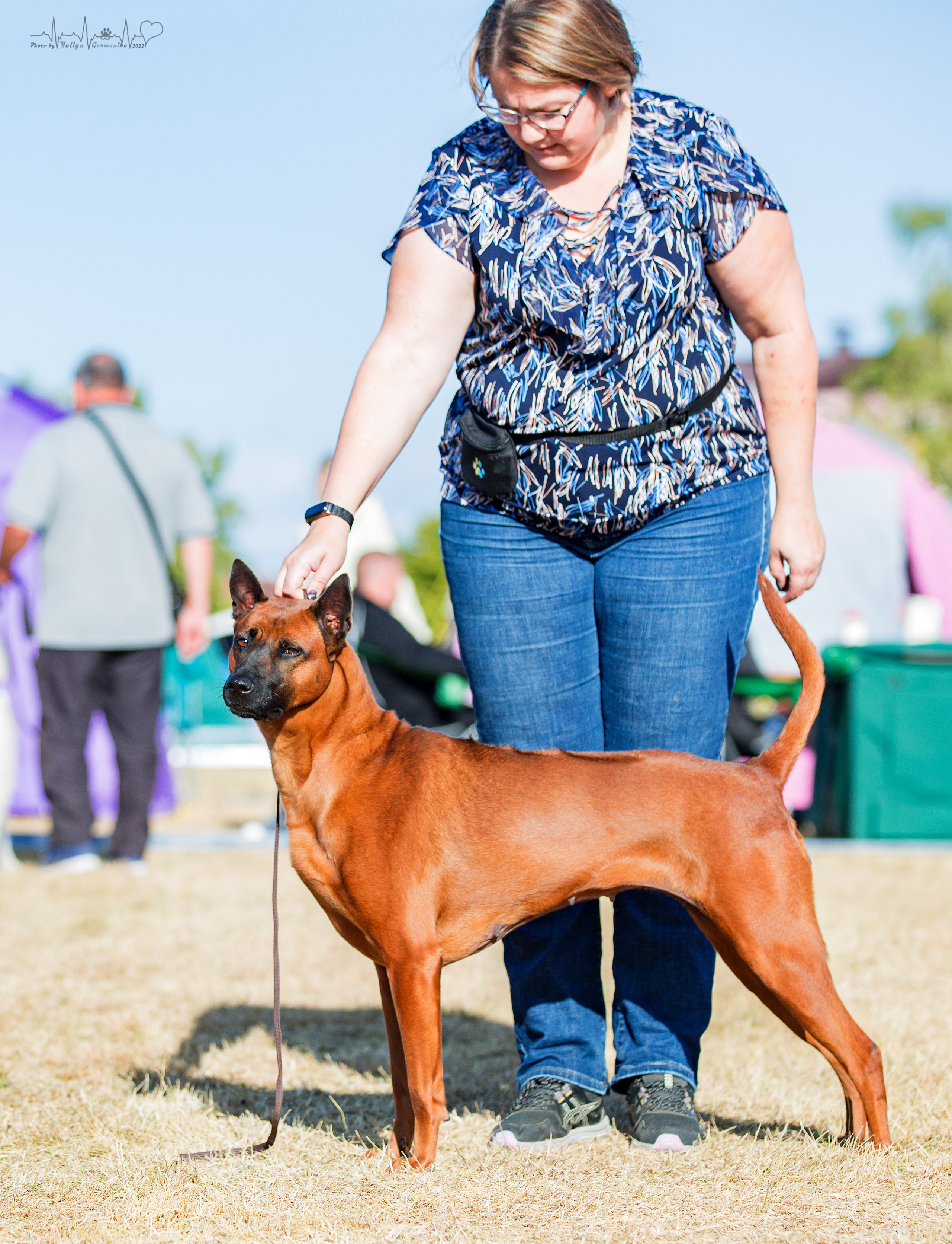 Минск 2хCACIB 3-4.09.2022. Фотограф-анималист Юлия Германика