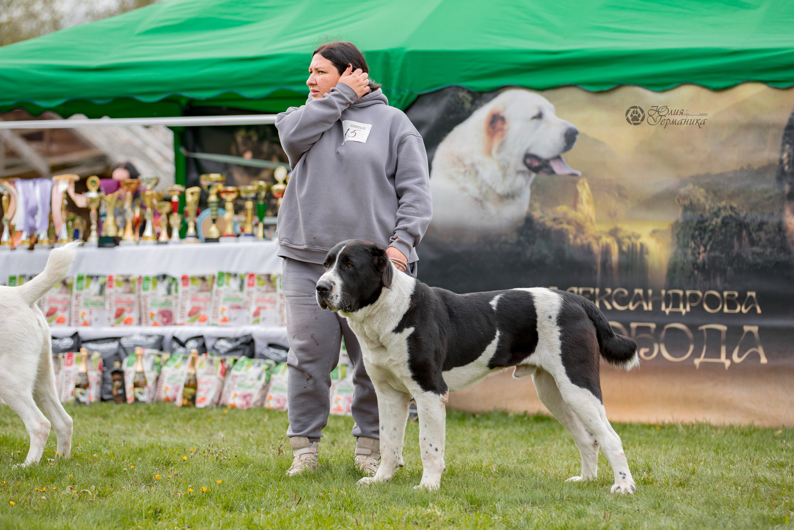 Александрова Слобода моно сао 2.10.2022. Фотограф-анималист Юлия Германика