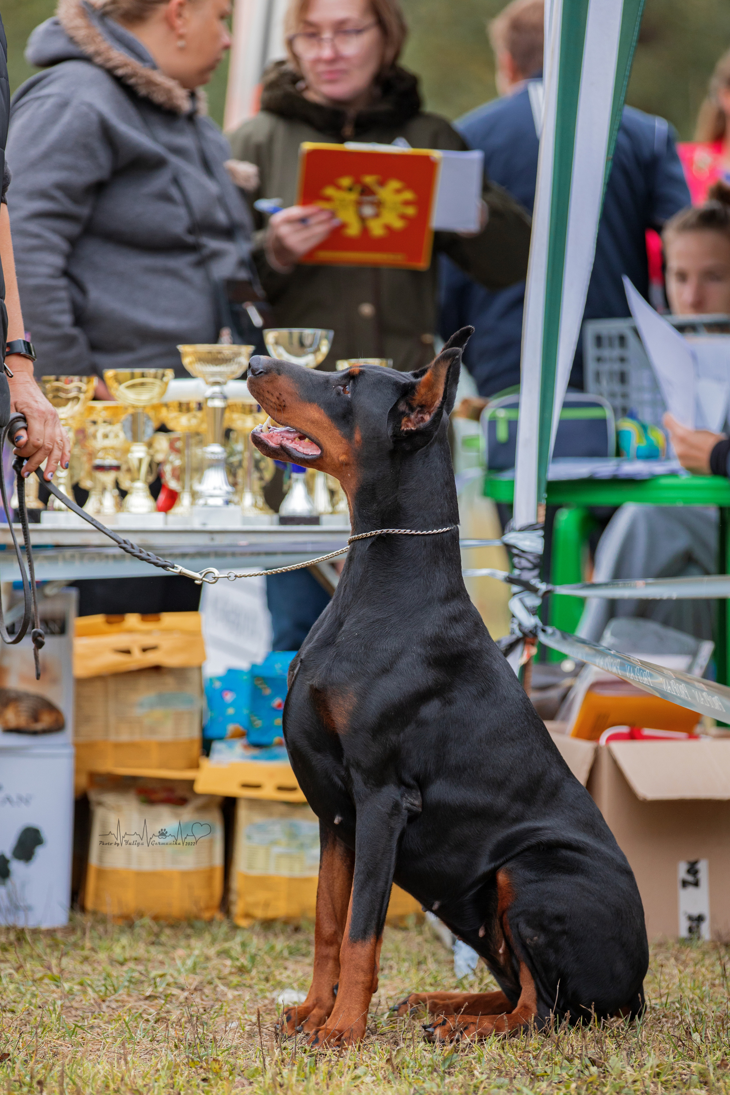 Пушкино ЧРКФ 17.09.2022. Фотограф-анималист Юлия Германика