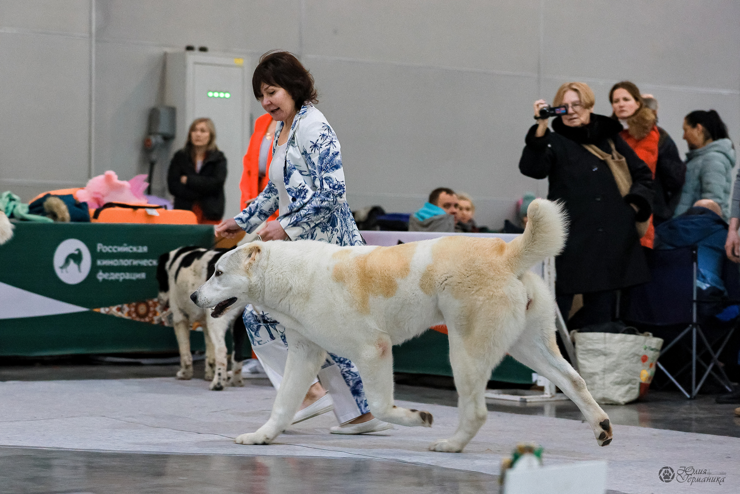 Россия 2020-2022 26-27.11.2022. Фотограф-анималист Юлия Германика