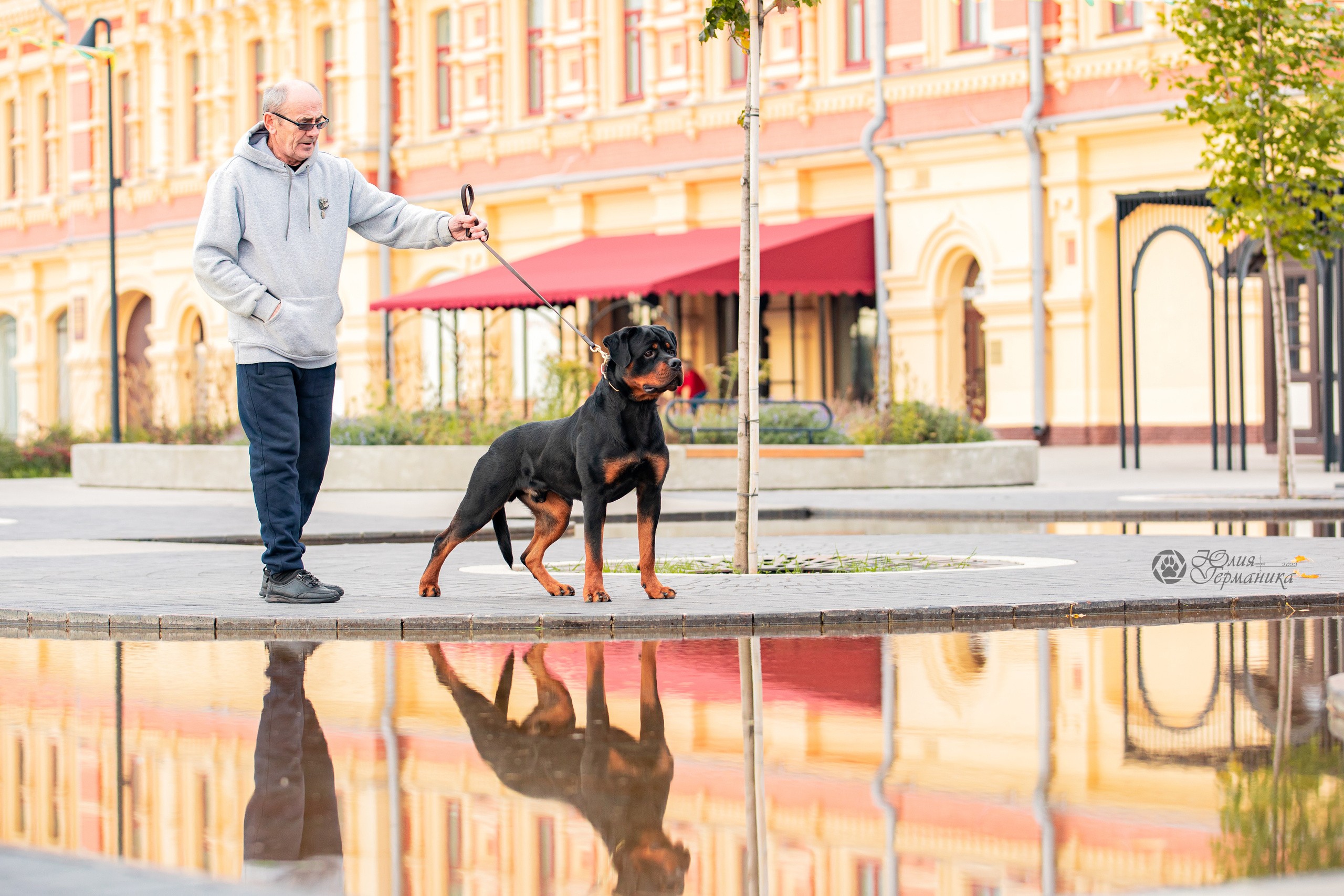 Нижний Новгород 15-16.10.2022. Фотограф-анималист Юлия Германика