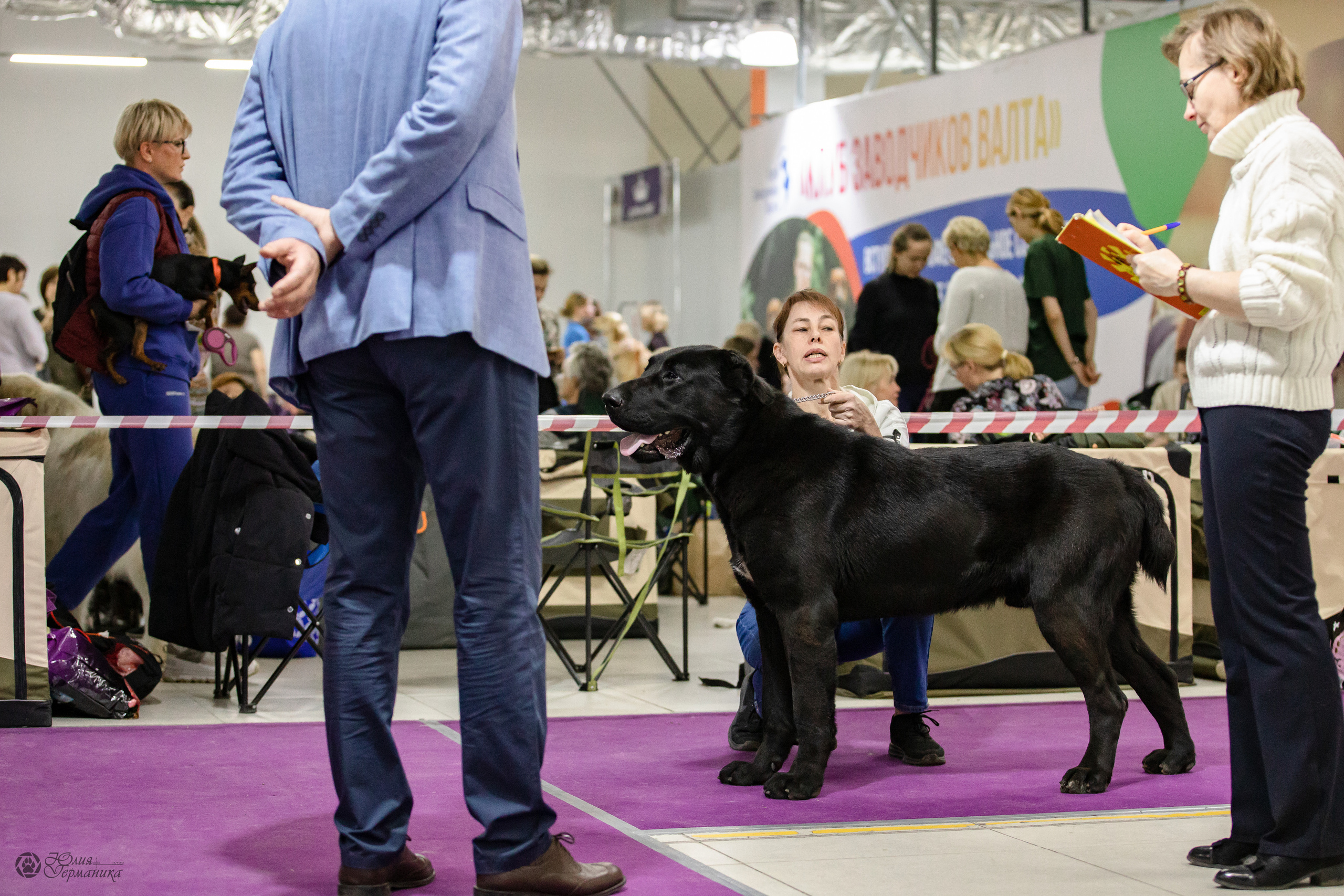 Чайна-Таун 29-30.10.2022. Фотограф-анималист Юлия Германика