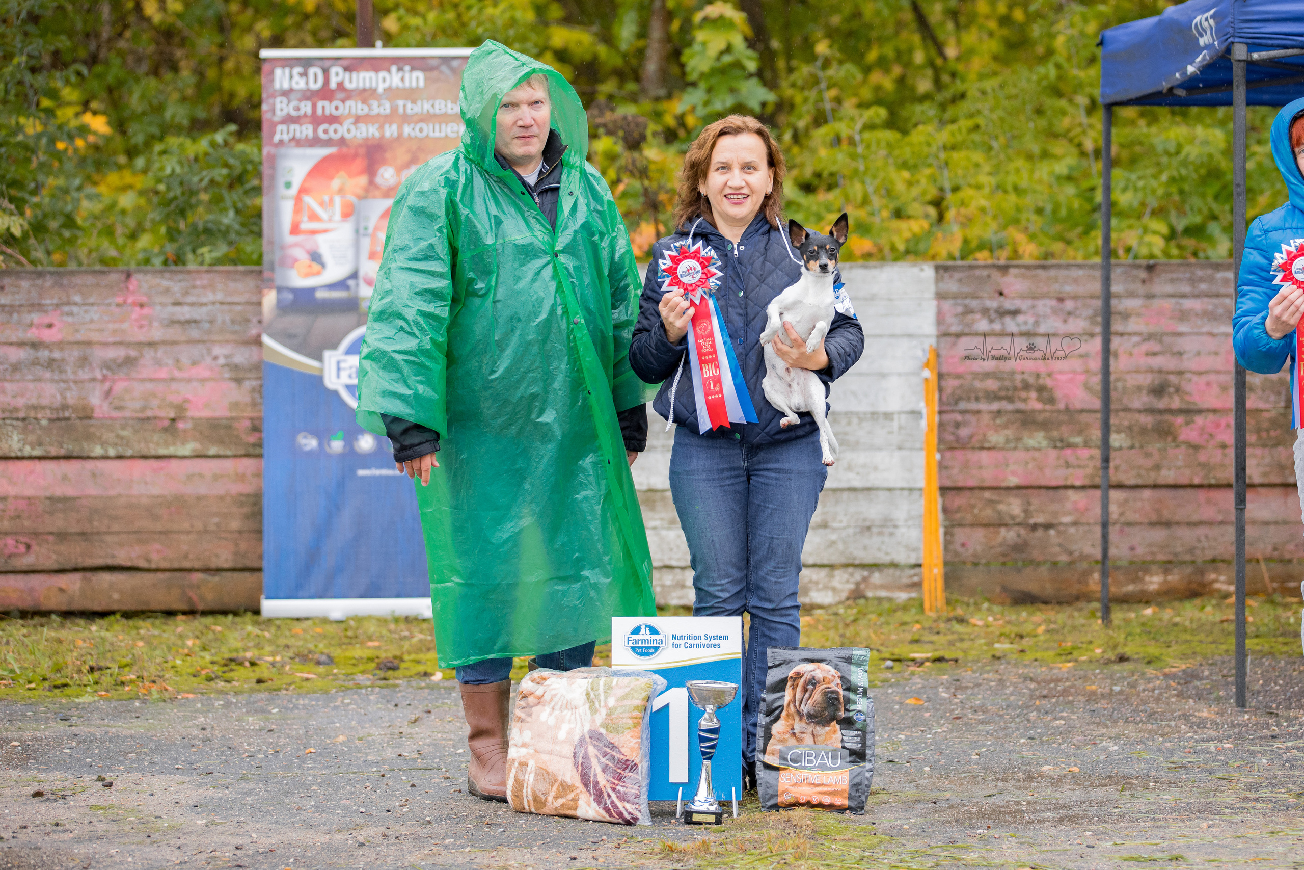 Александров 24.09.2022. Фотограф-анималист Юлия Германика