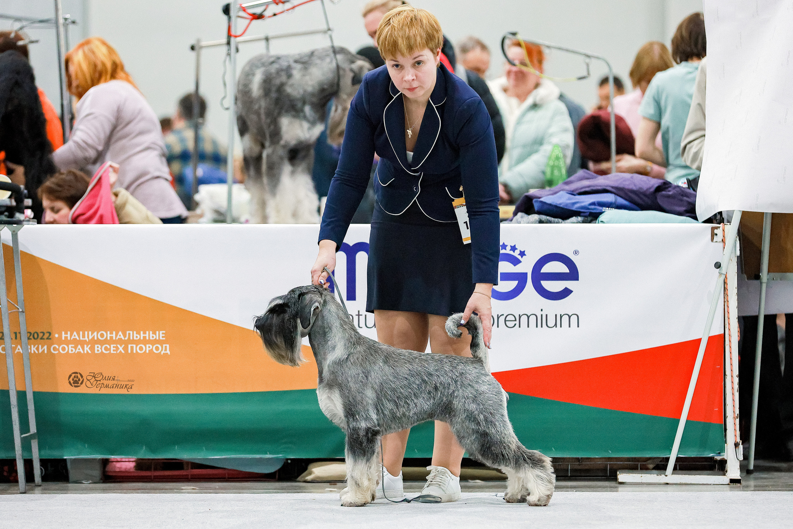 Россия 2020-2022 26-27.11.2022. Фотограф-анималист Юлия Германика