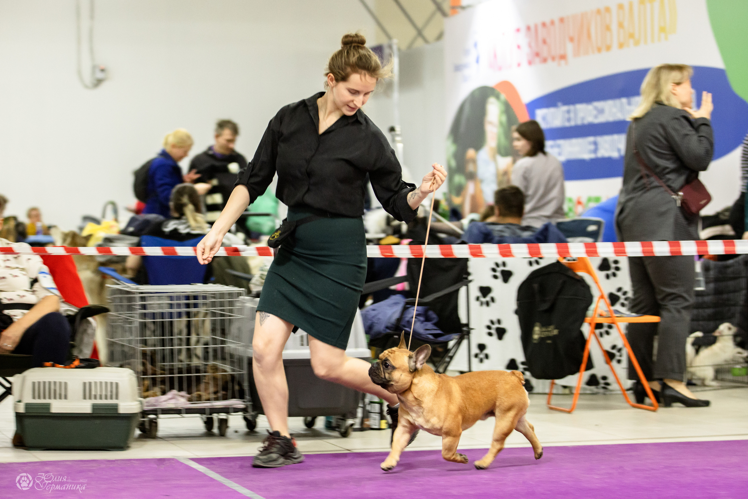 Чайна-Таун 3 и 12.11.2022. Фотограф-анималист Юлия Германика