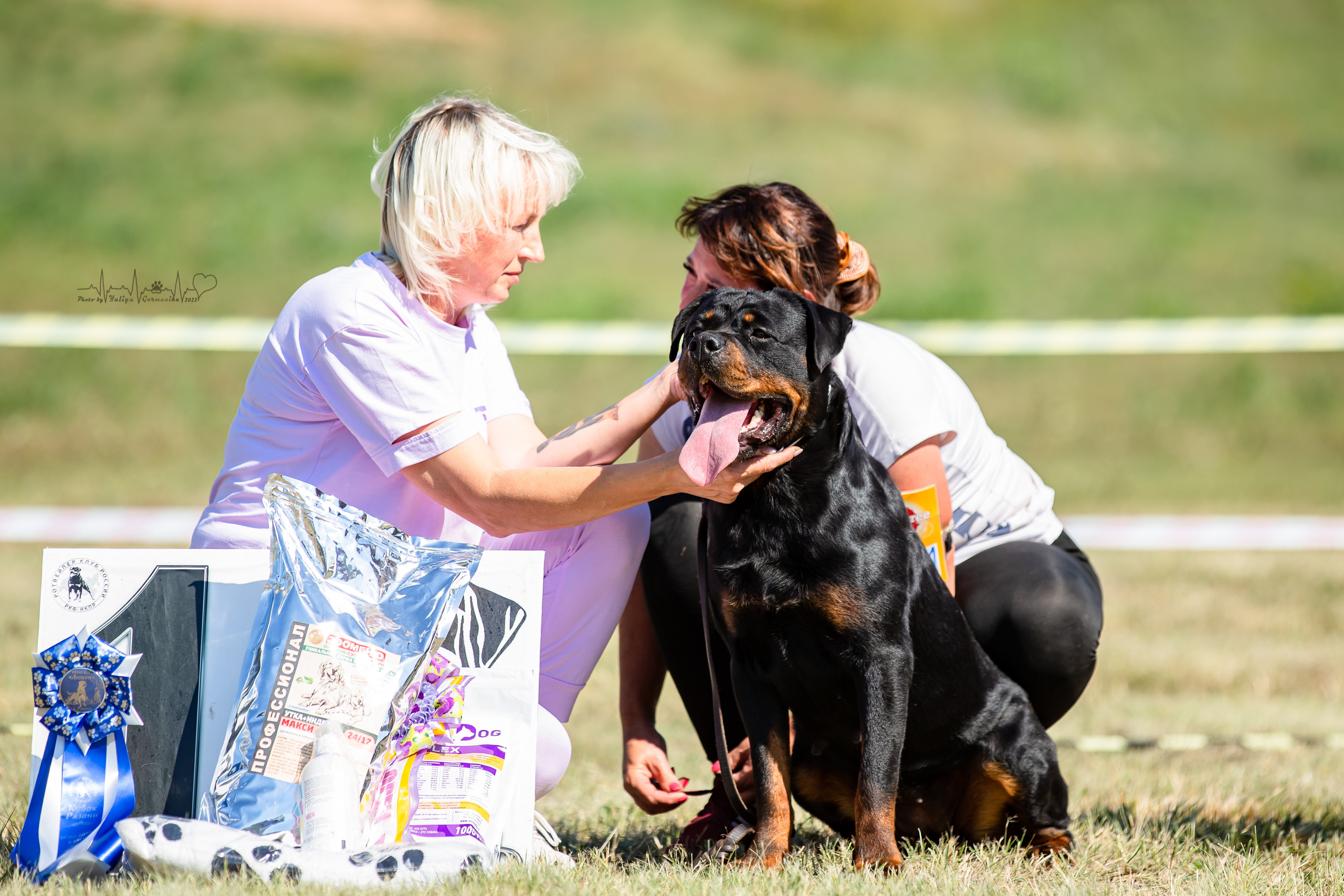 Рязань моно ротвейлеров 13.08.2022. Фотограф-анималист Юлия Германика