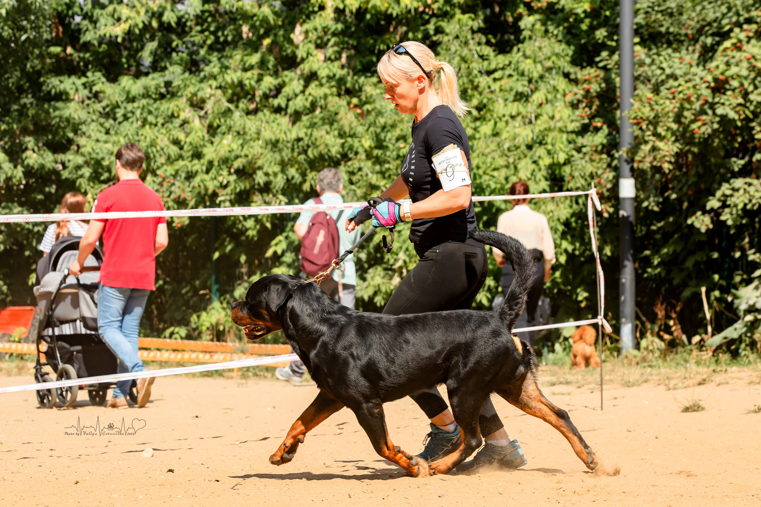 Ховрино фестиваль монопородок 14.08.2022. Фотограф-анималист Юлия Германика