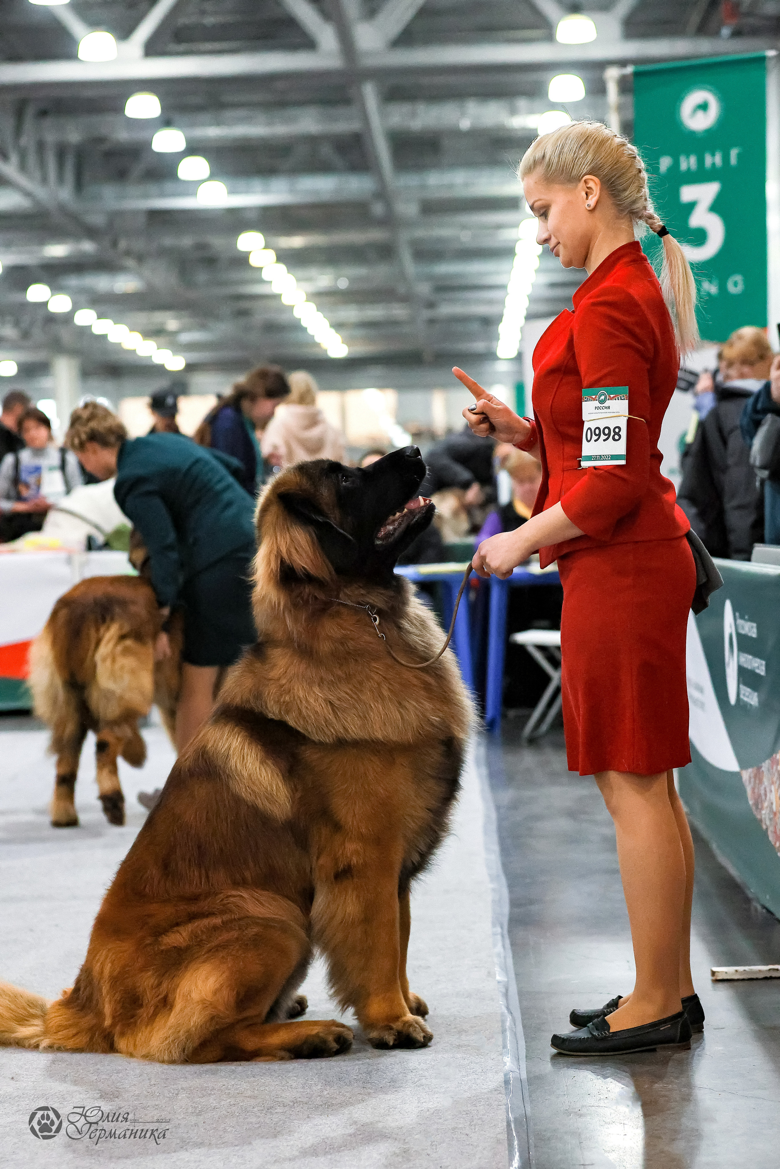 Россия 2020-2022 26-27.11.2022. Фотограф-анималист Юлия Германика